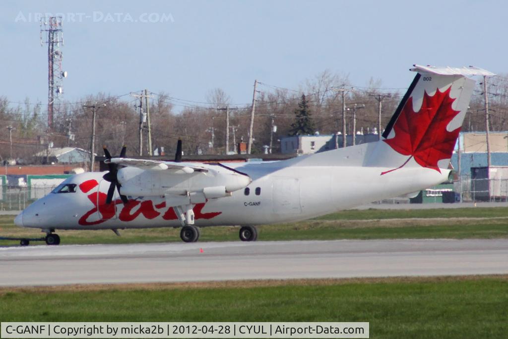 C-GANF, 1986 De Havilland Canada DHC-8-102 Dash 8 C/N 042, Taxiing