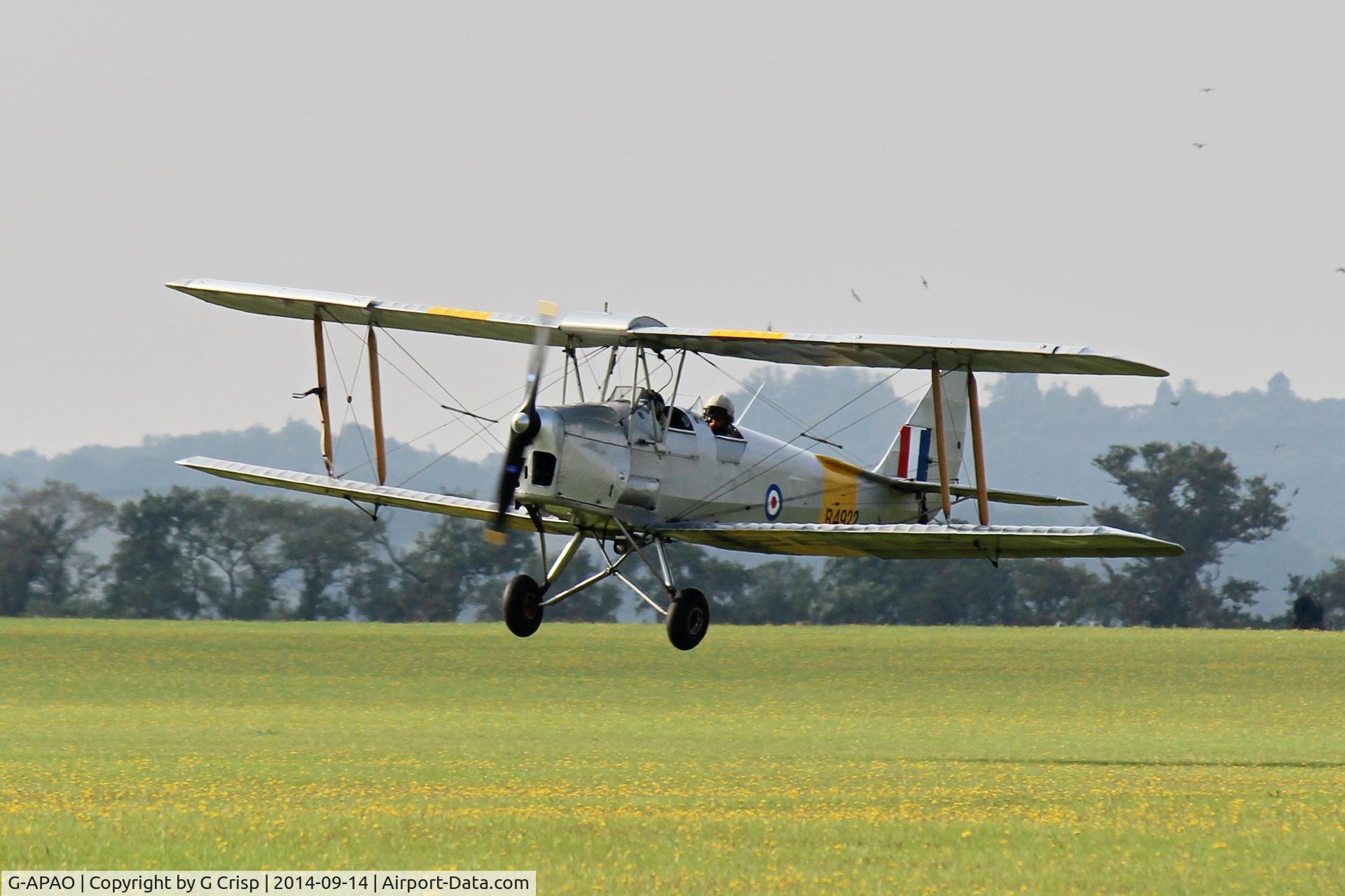 G-APAO, 1940 De Havilland DH-82A Tiger Moth II C/N 82845, Duxford Air Show 2014