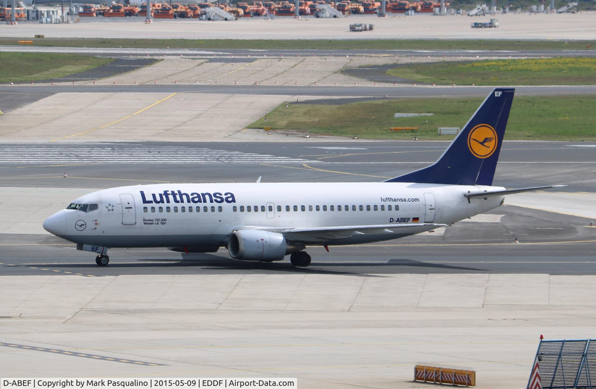 D-ABEF, 1991 Boeing 737-330 C/N 25217, Boeing 737-300