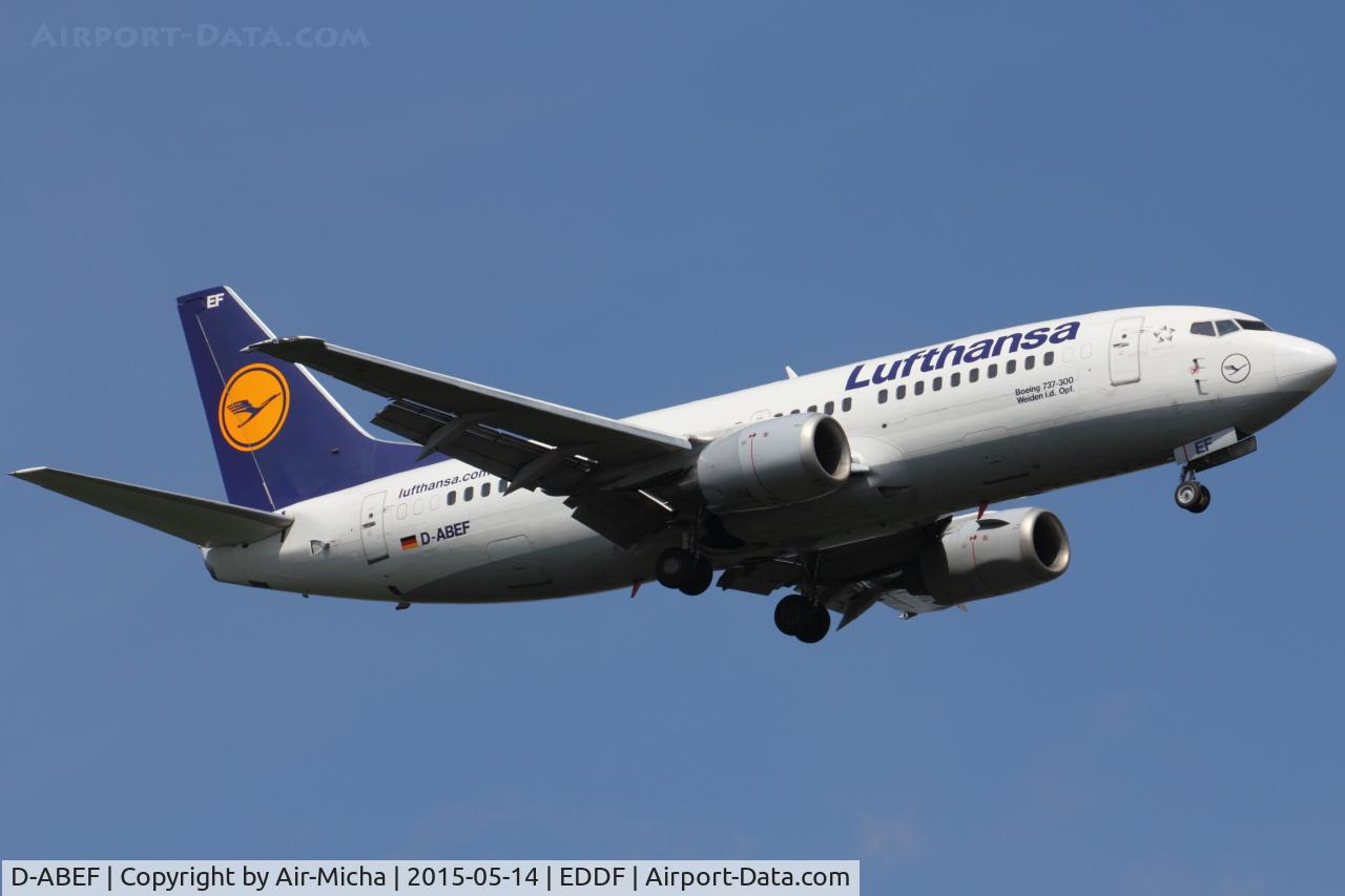 D-ABEF, 1991 Boeing 737-330 C/N 25217, Lufthansa