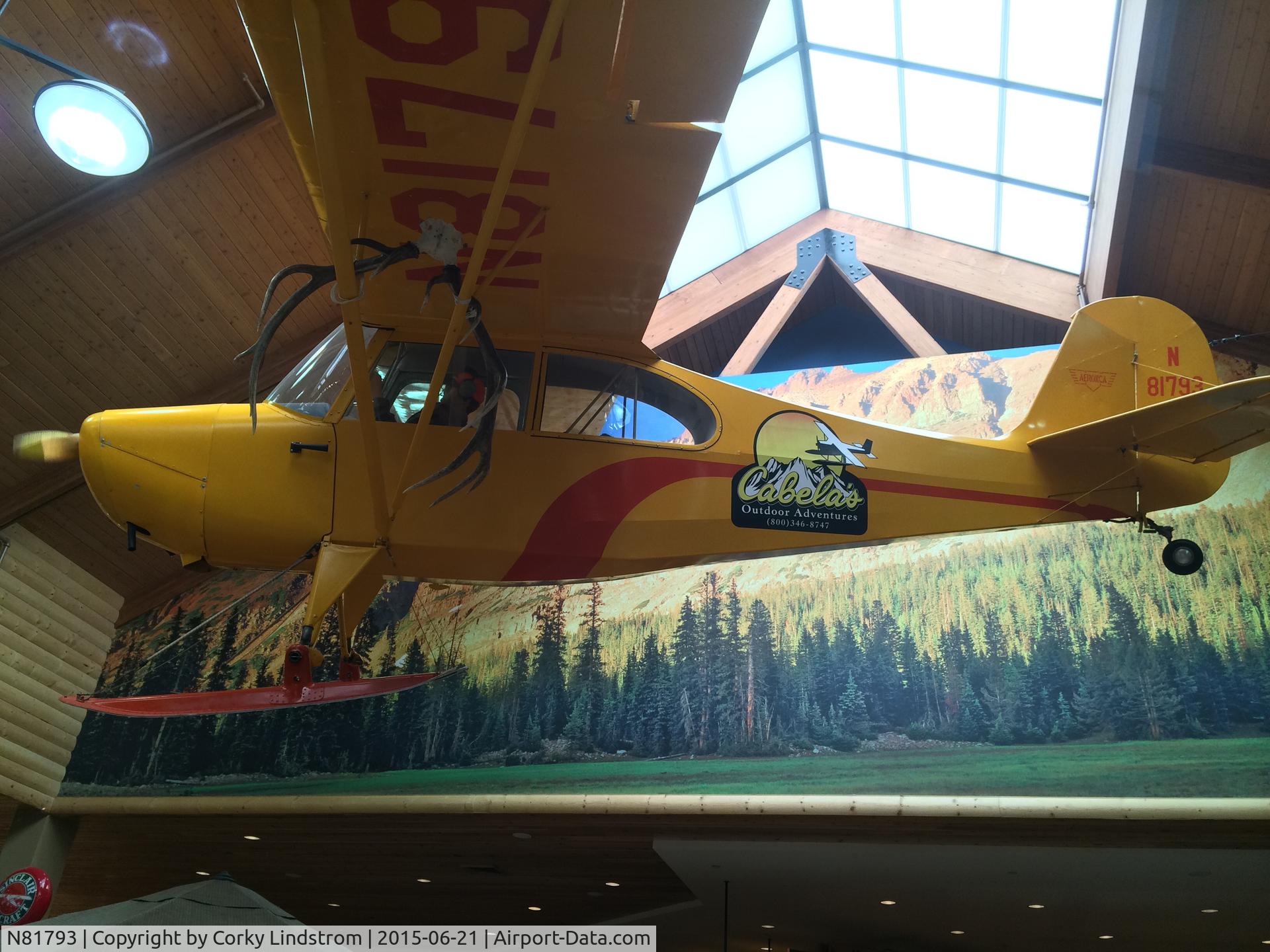 N81793, Aeronca 7AC Champion C/N 7AC-416, Hanging in Cabela's Provo, Utah