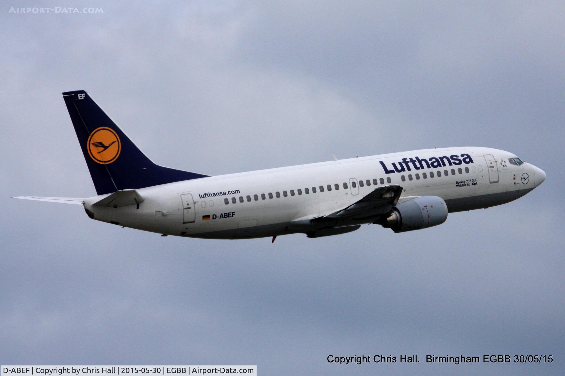 D-ABEF, 1991 Boeing 737-330 C/N 25217, Lufthansa