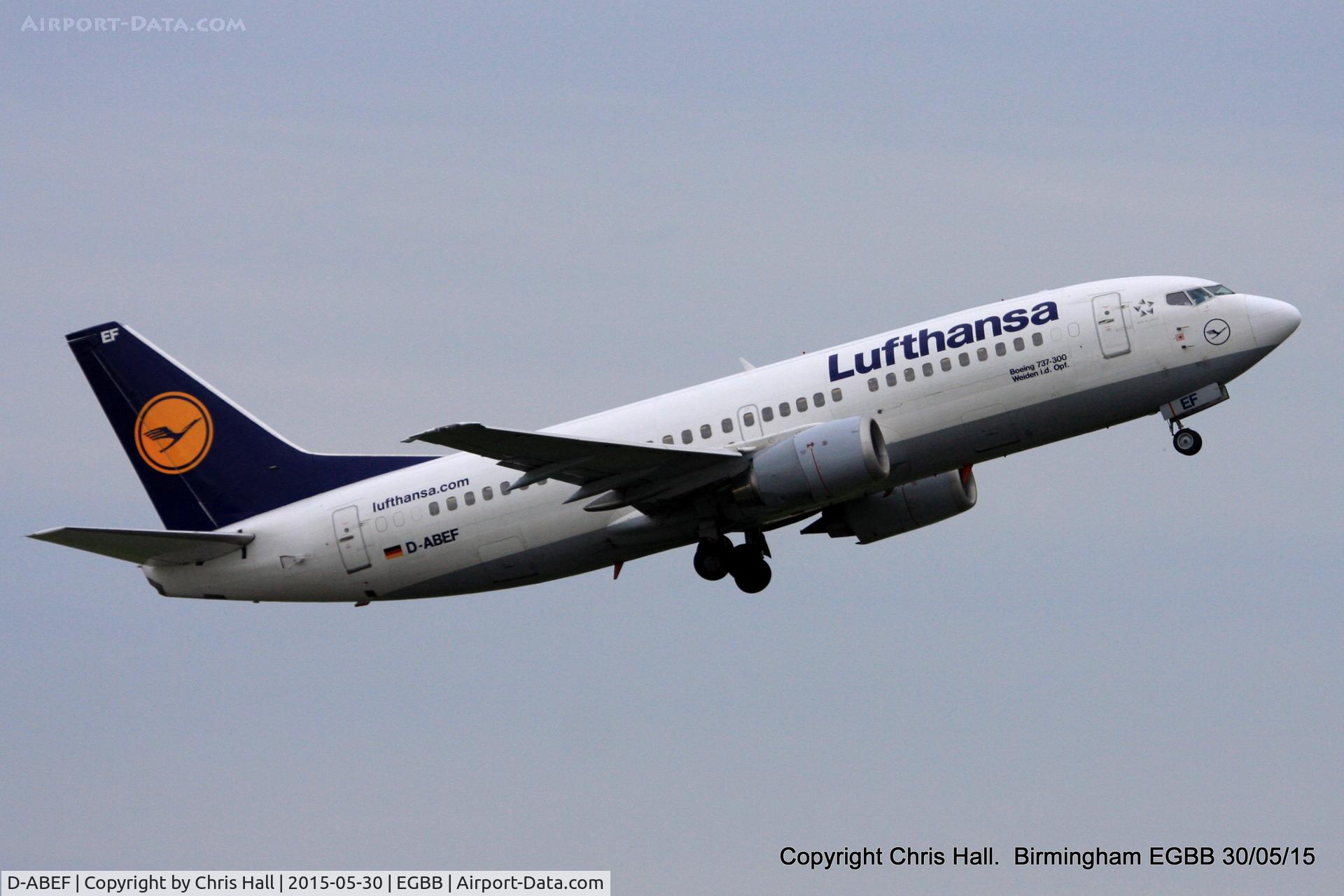 D-ABEF, 1991 Boeing 737-330 C/N 25217, Lufthansa