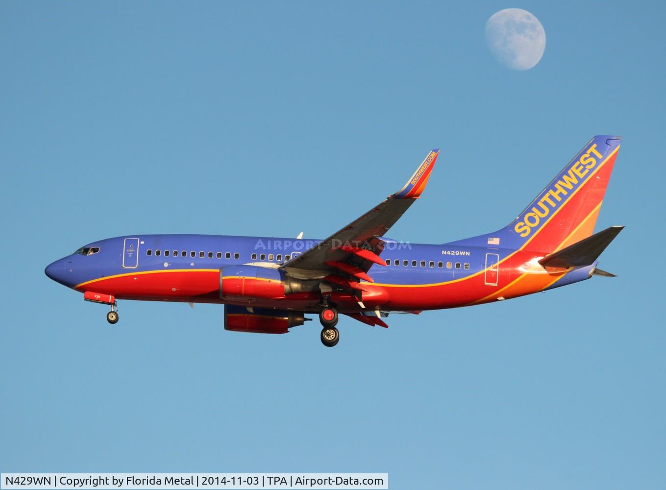 N429WN, 2002 Boeing 737-7H4 C/N 33658, Southwest