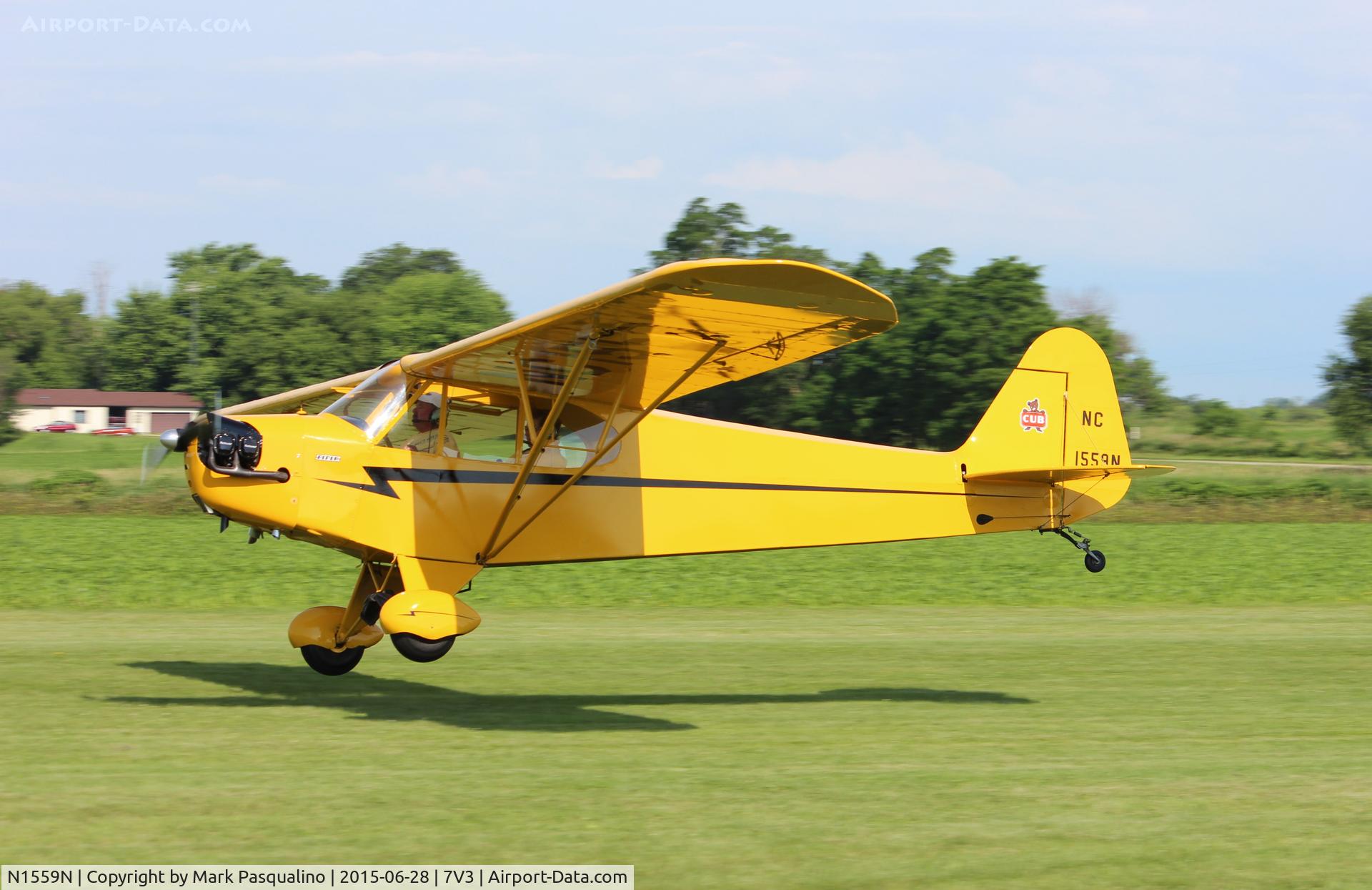N1559N, Piper J3C-65 Cub Cub C/N 23091, Piper J3C-65