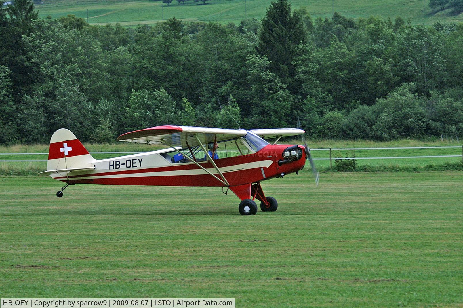 HB-OEY, 1944 Piper L-4J Grasshopper (J3C-65D) C/N 12440, concentratd pilot