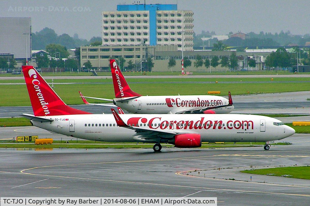 TC-TJO, 2006 Boeing 737-86N C/N 34253, Boeing 737-86N [34253] (Corendon Airlines) Amsterdam-Schiphol~PH 06/08/2014