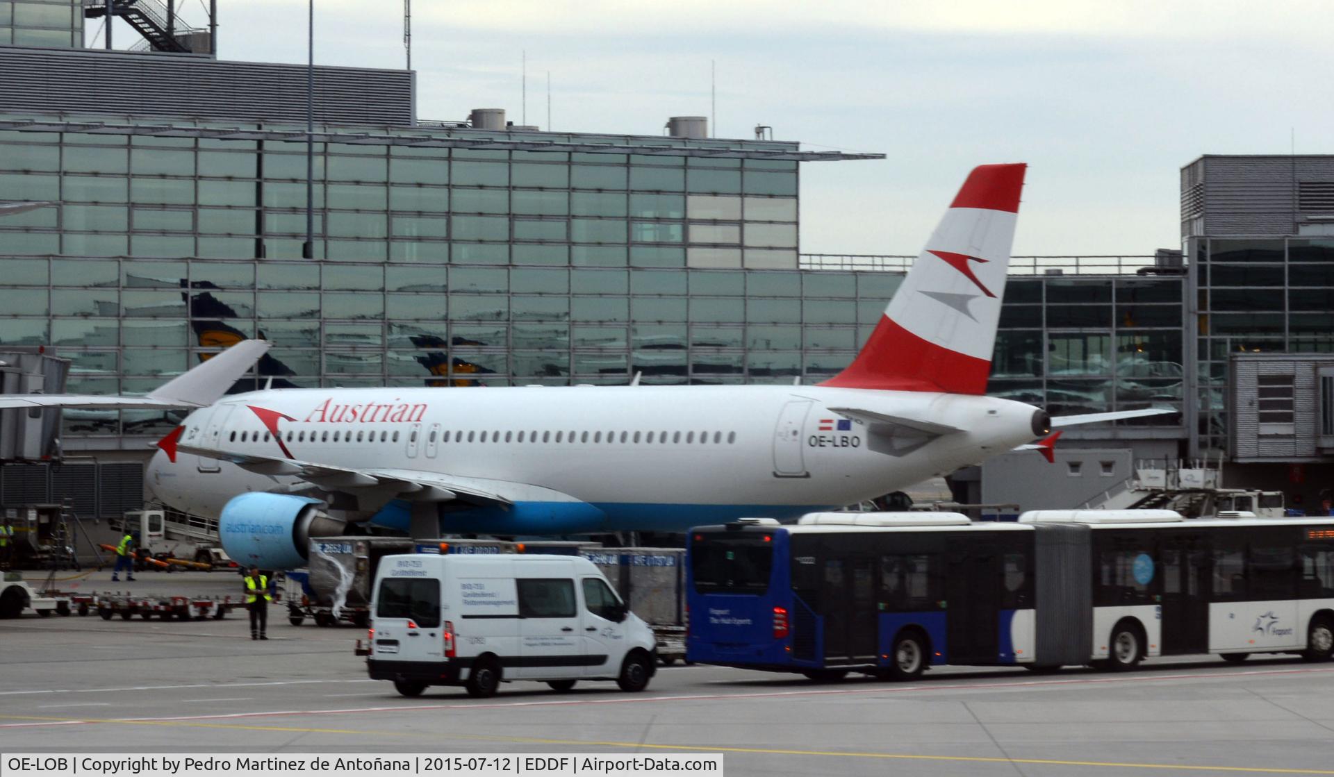 OE-LOB, 2008 Airbus A319-112 C/N 3447, Frankfurt - Flughafen - Alemania