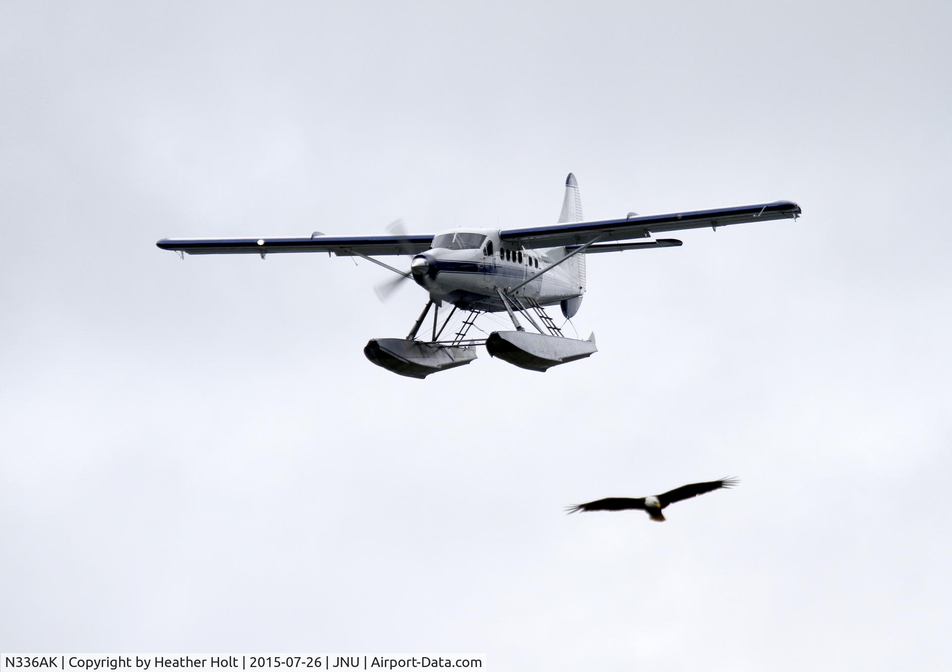 N336AK, 1958 De Havilland Canada DHC-3 Turbo Otter Otter C/N 333, Wings Airways N336AK with an eagle escort on approach to Juneau Harbor