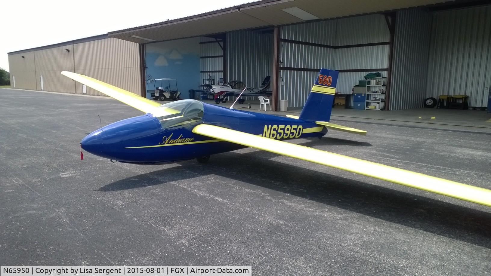 N65950, 1974 Schweizer SGS 1-26E C/N 580, Andiamo