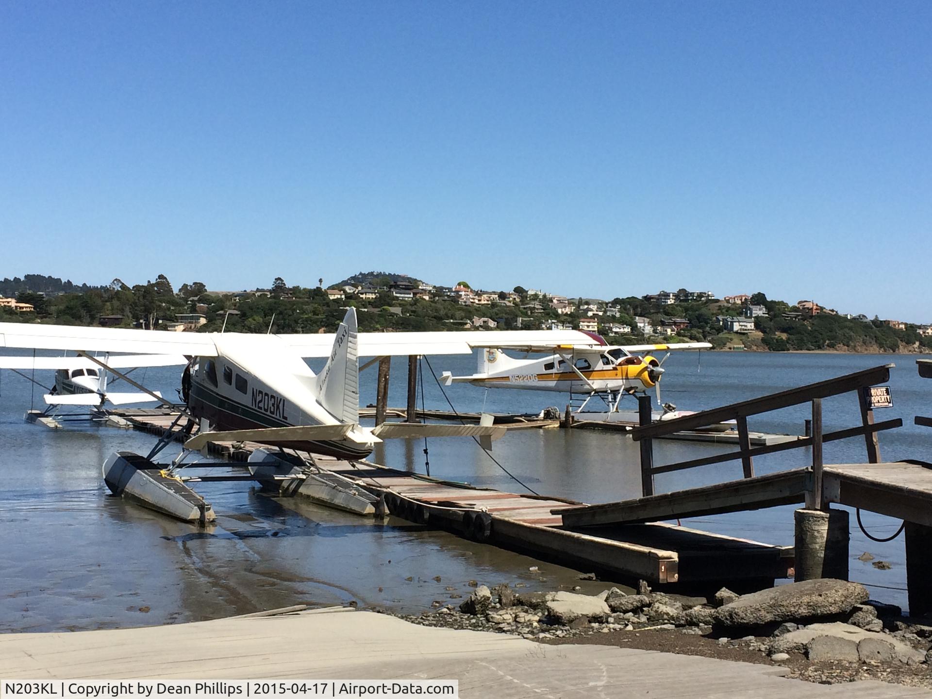 N203KL, 1961 De Havilland Canada DHC-2 Beaver Mk.I C/N 1460, Aircraft was spotted in Mill Valley, CA (Marin County-North of San Francisco) as part of sightseeing operation off Hwy. 101. 

The tail can just barely be seen with Alaska Air Taxi insignia.