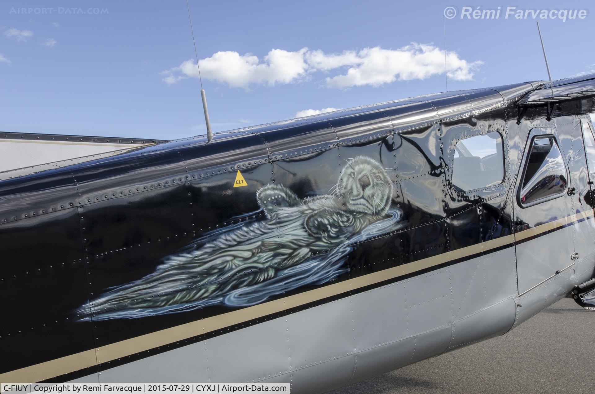 C-FIUY, 1956 De Havilland Canada DHC-2 Beaver Mk.1 C/N 921, Detail of bodywork. Static display, Fort St. John International Airshow
