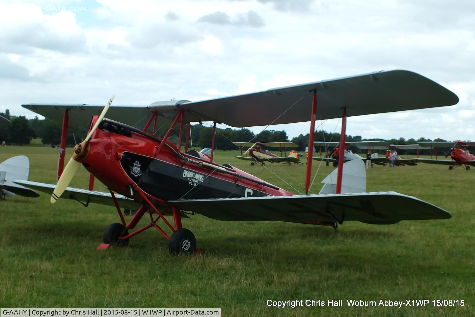 G-AAHY, 1929 De Havilland DH.60M Moth C/N 1362, International Moth Rally at Woburn Abbey 15/08/15