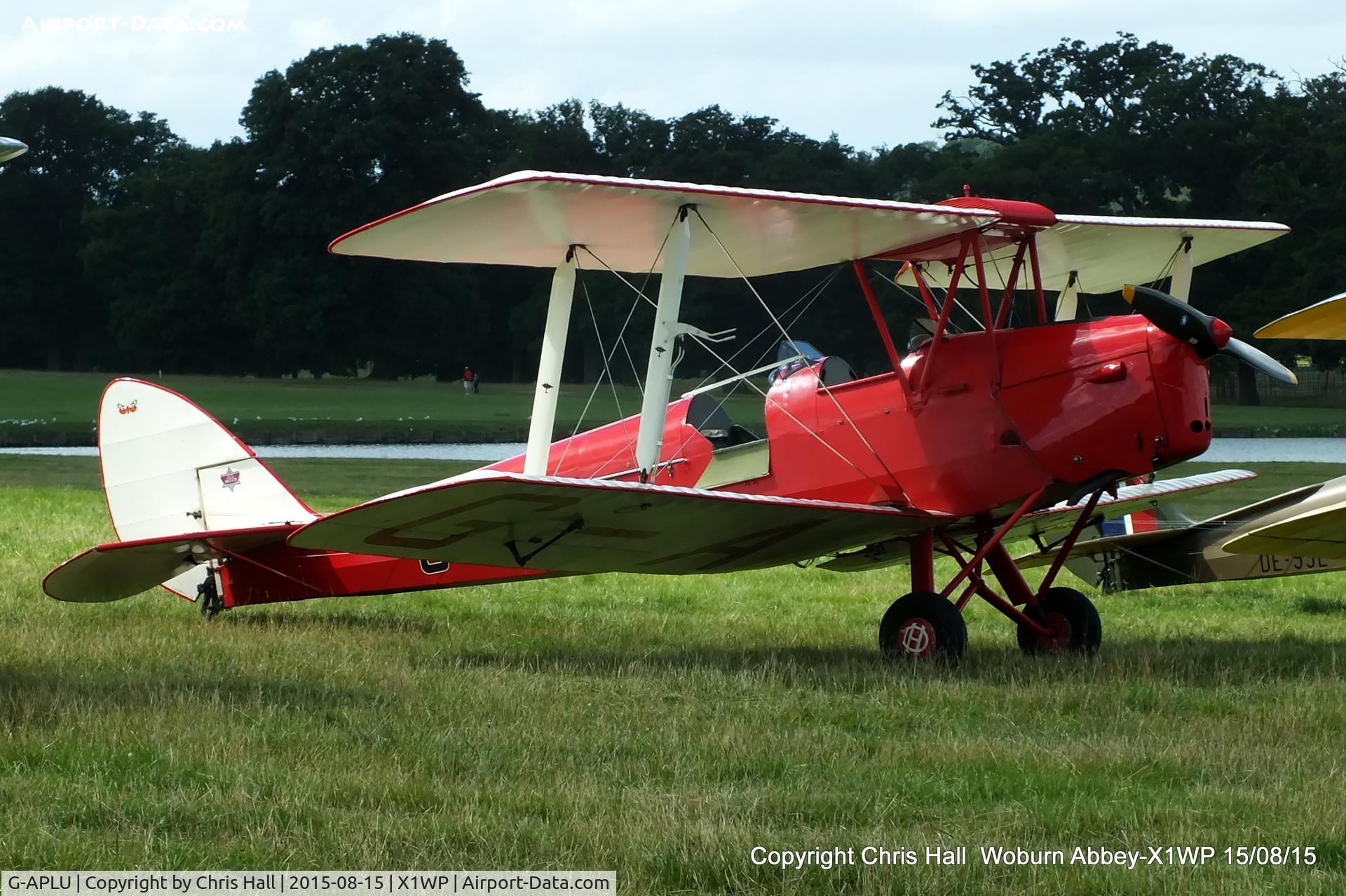G-APLU, 1941 De Havilland DH-82A Tiger Moth II C/N 85094, International Moth Rally at Woburn Abbey 15/08/15