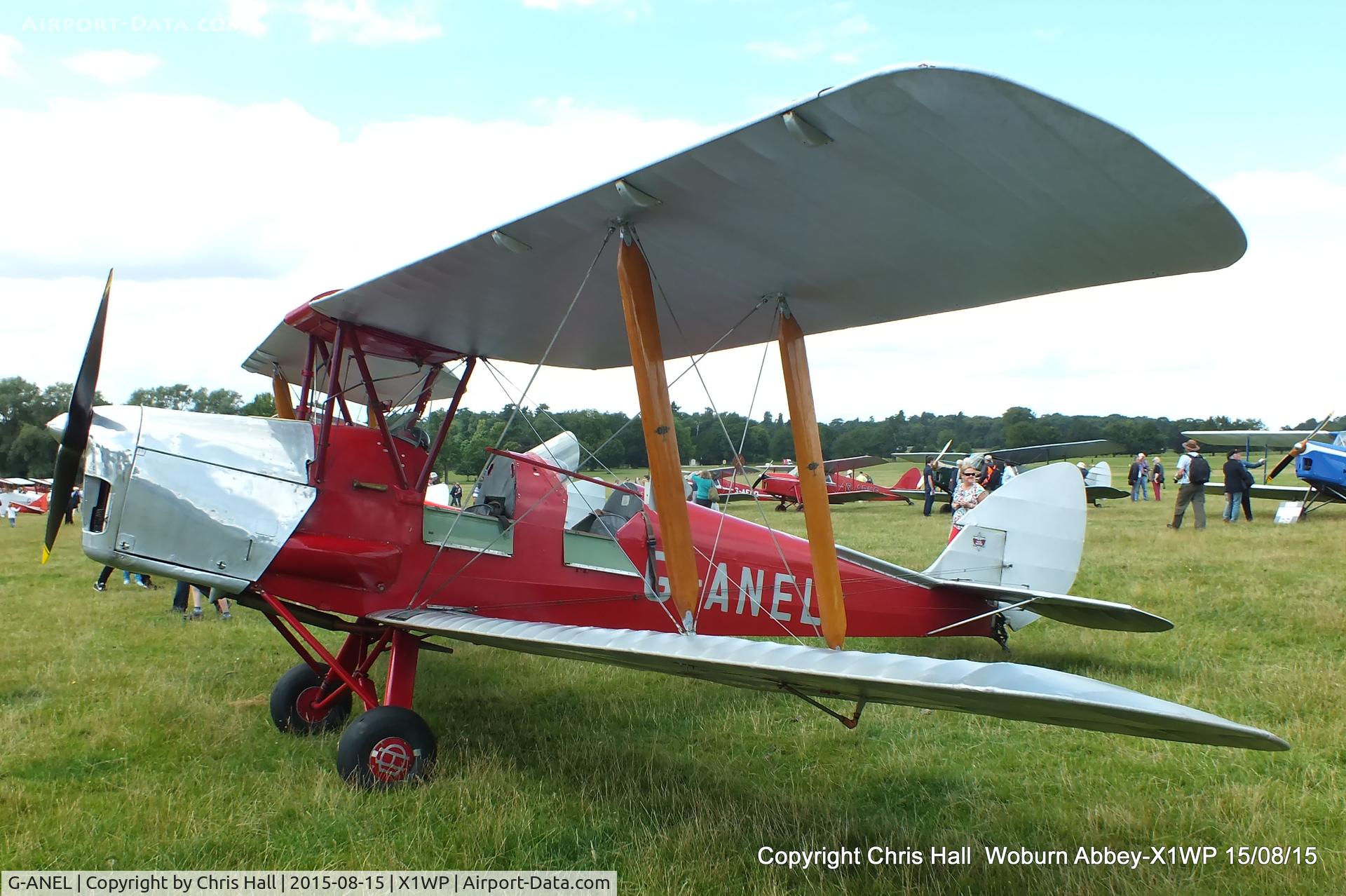 G-ANEL, 1939 De Havilland DH-82A Tiger Moth II C/N 82333, International Moth Rally at Woburn Abbey 15/08/15