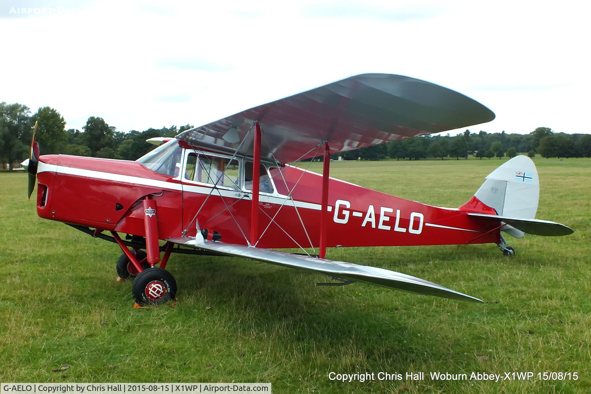 G-AELO, 1936 De Havilland DH.87B Hornet Moth C/N 8105, International Moth Rally at Woburn Abbey 15/08/15