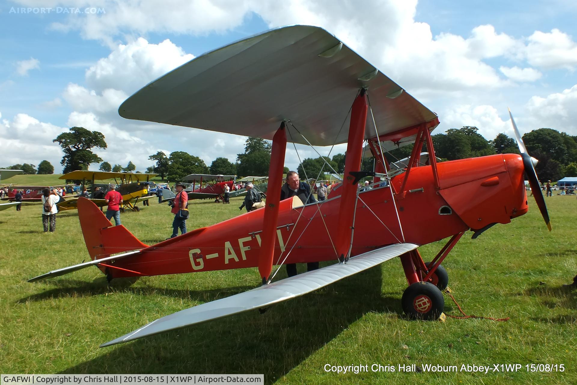 G-AFWI, 1939 De Havilland DH-82A Tiger Moth II C/N 82187, International Moth Rally at Woburn Abbey 15/08/15