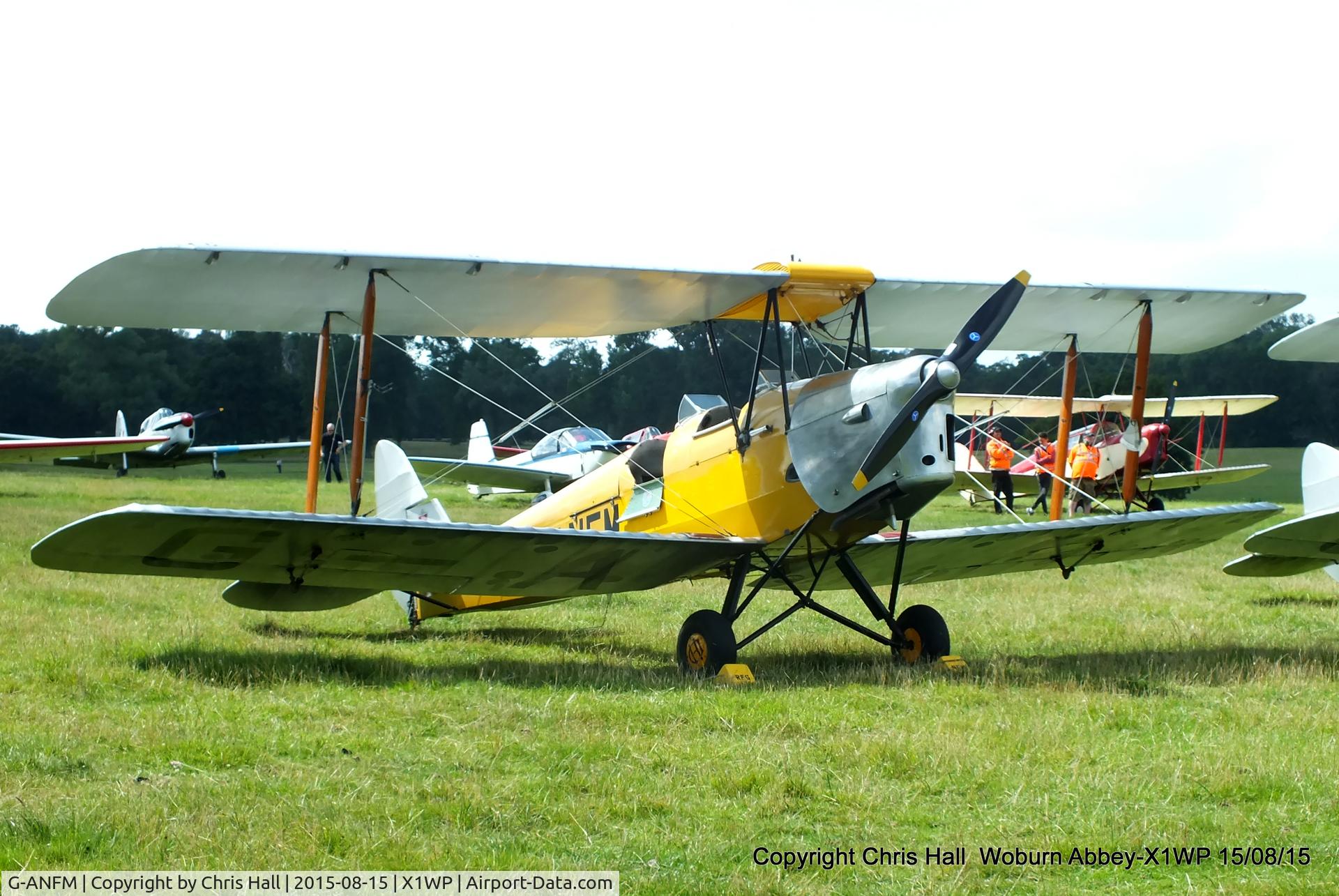 G-ANFM, 1941 De Havilland DH-82A Tiger Moth II C/N 83604, International Moth Rally at Woburn Abbey 15/08/15