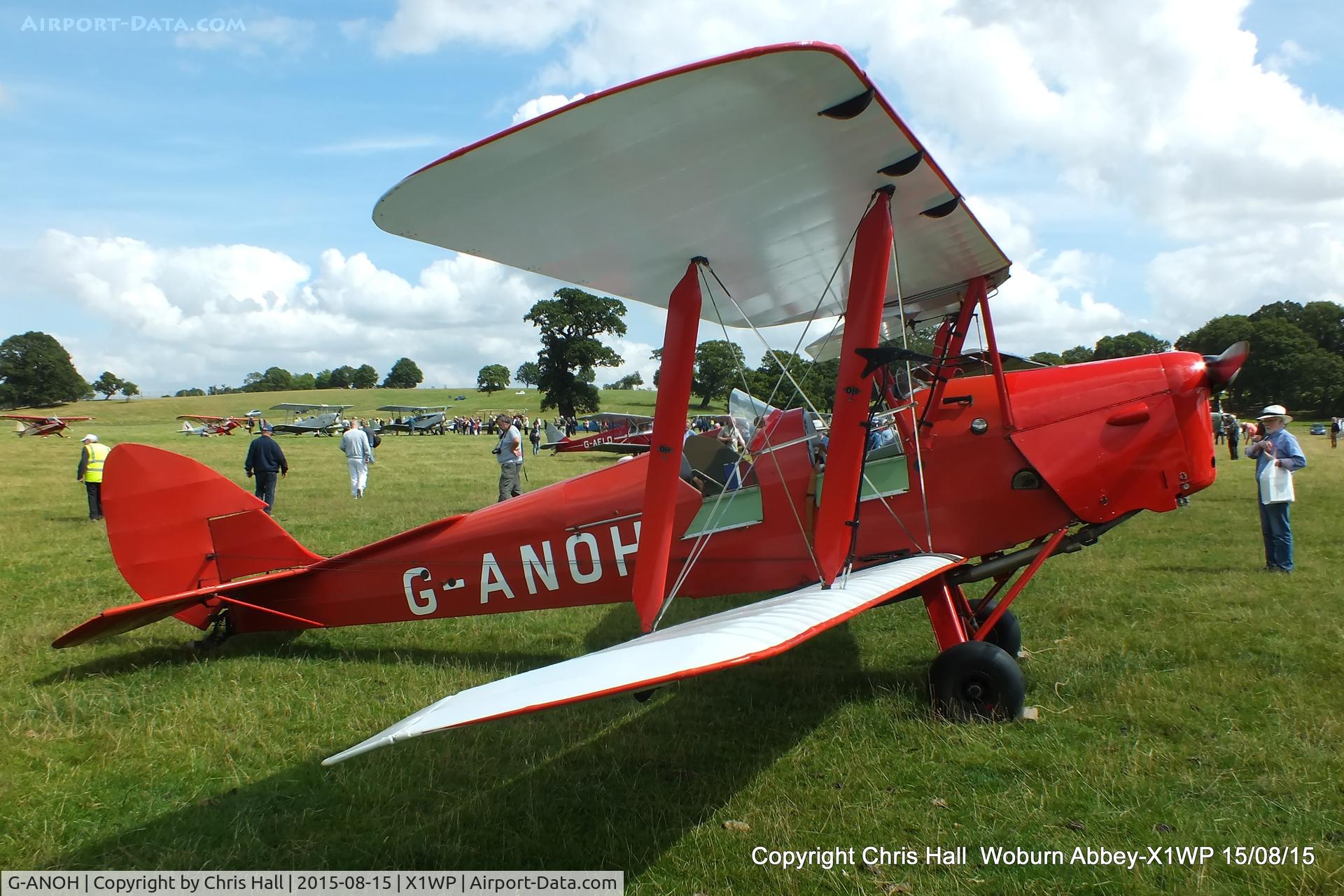 G-ANOH, 1942 De Havilland DH-82A Tiger Moth II C/N 86040, International Moth Rally at Woburn Abbey 15/08/15