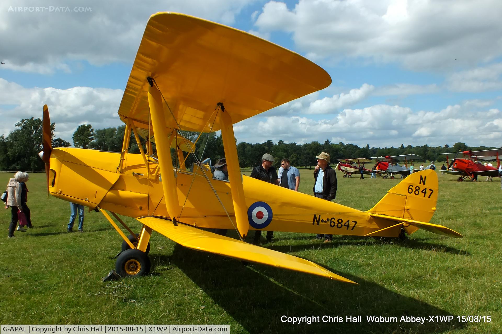 G-APAL, 1939 De Havilland DH-82A Tiger Moth II C/N 82102, International Moth Rally at Woburn Abbey 15/08/15