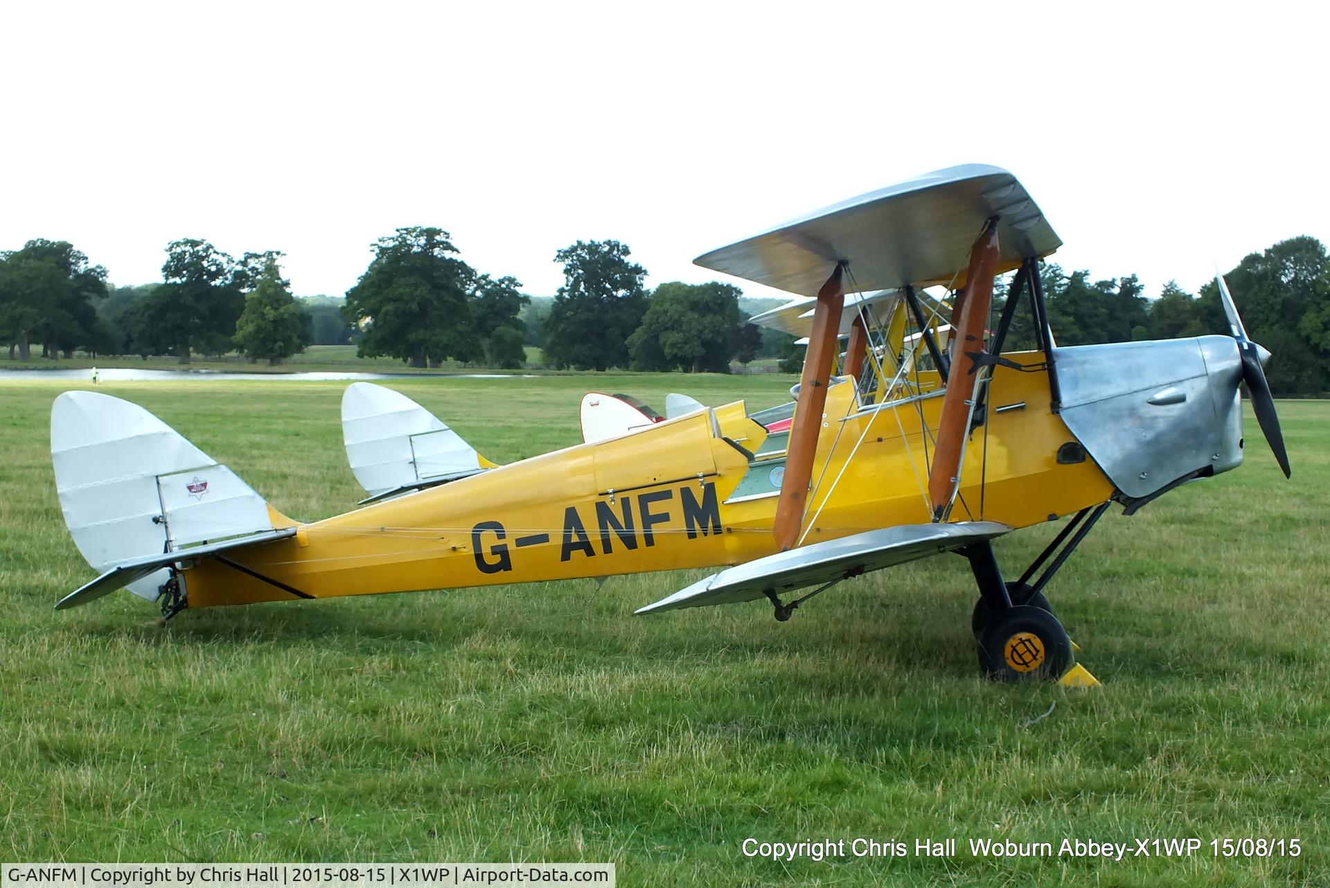 G-ANFM, 1941 De Havilland DH-82A Tiger Moth II C/N 83604, International Moth Rally at Woburn Abbey 15/08/15