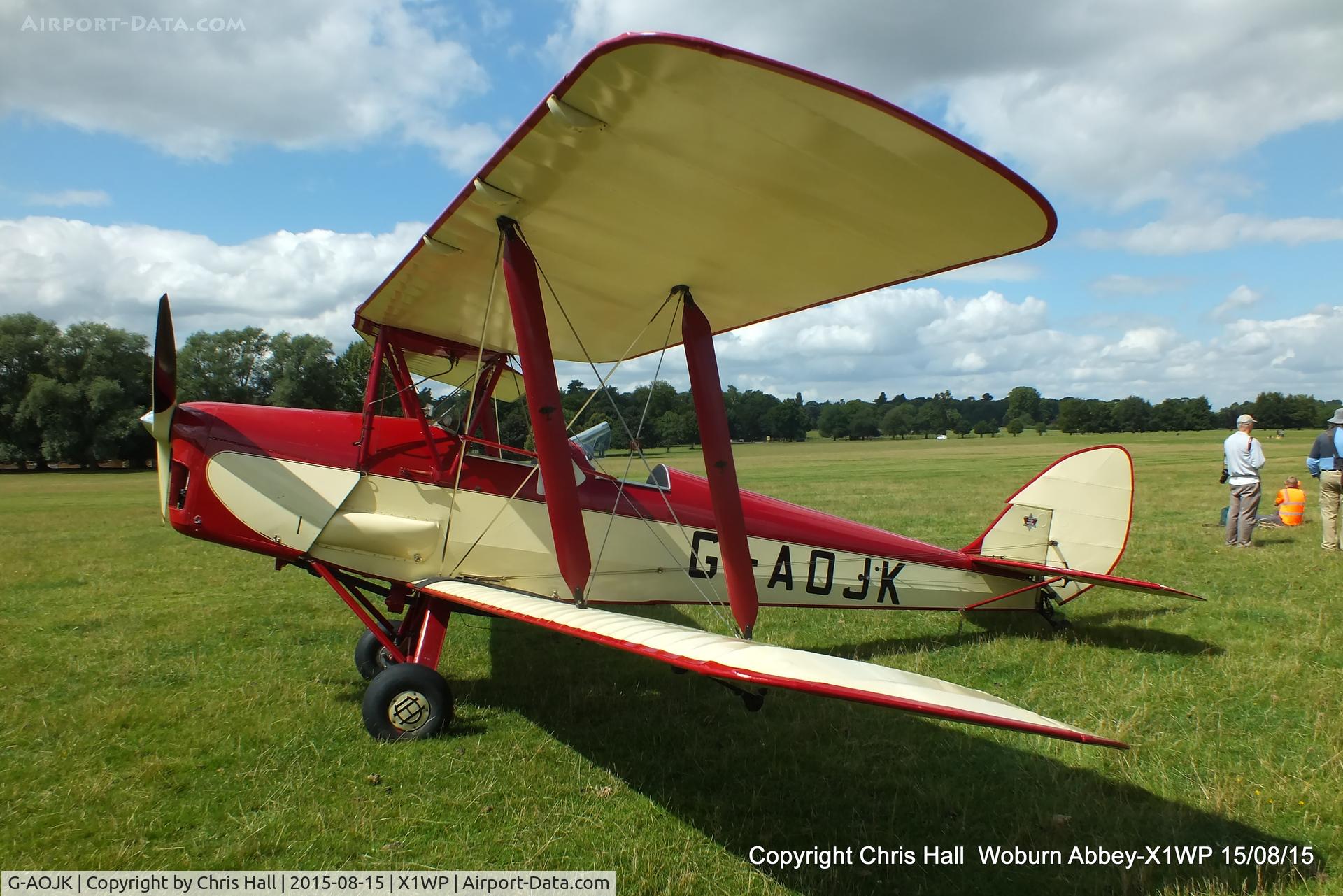 G-AOJK, 1939 De Havilland DH-82A Tiger Moth II C/N 82813, International Moth Rally at Woburn Abbey 15/08/15
