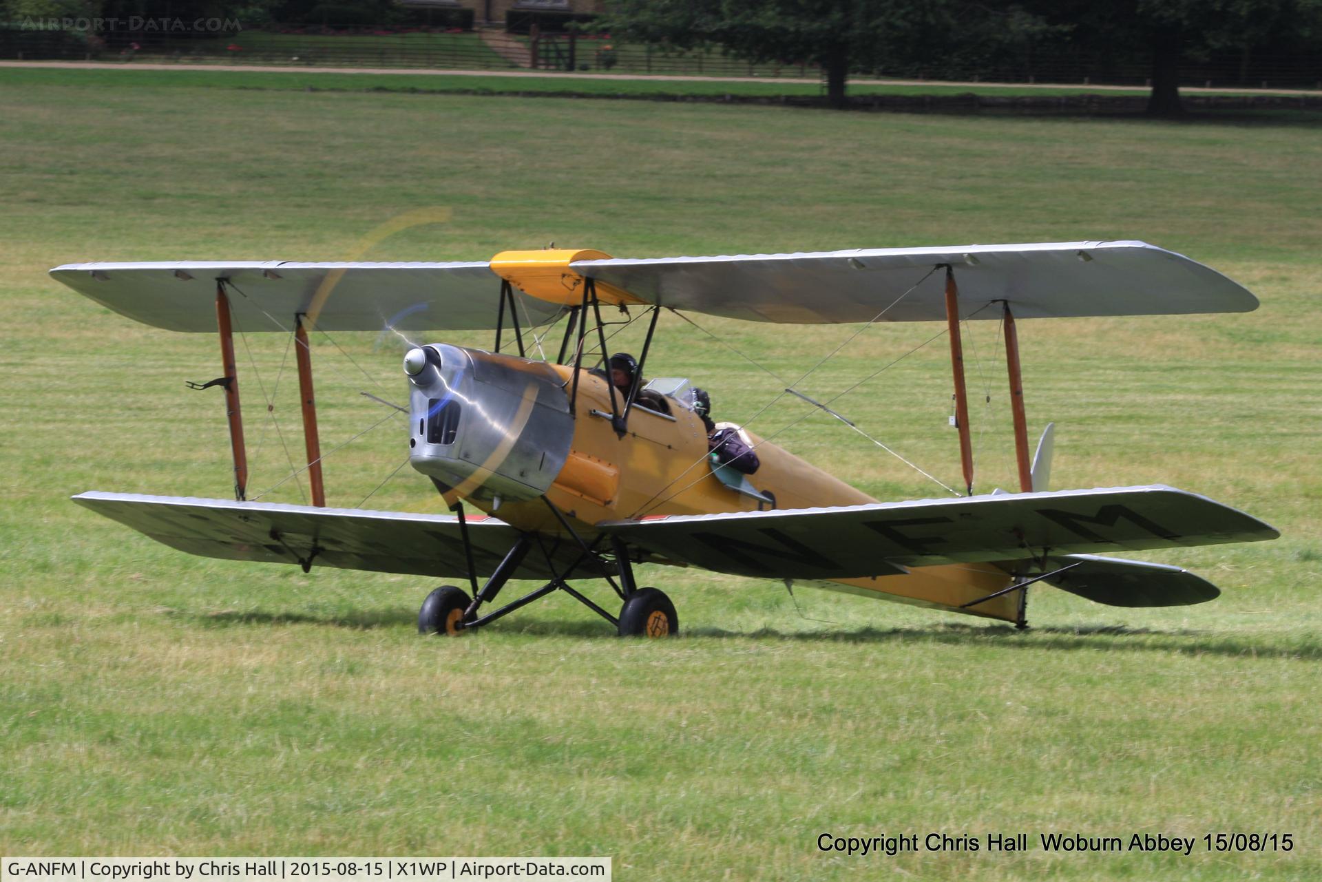 G-ANFM, 1941 De Havilland DH-82A Tiger Moth II C/N 83604, International Moth Rally at Woburn Abbey 15/08/15