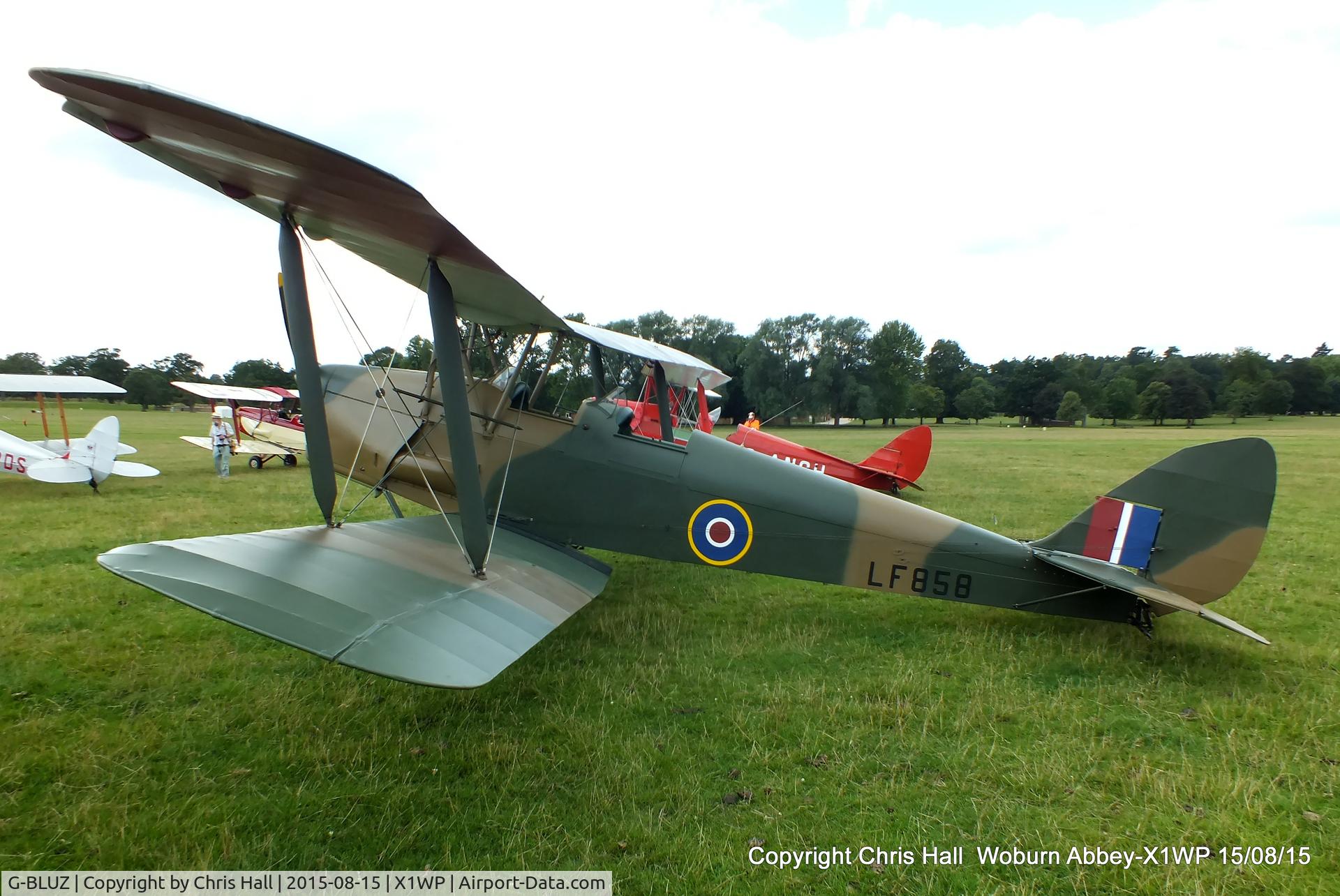 G-BLUZ, 1944 De Havilland DH.82B Queen Bee C/N 1435, International Moth Rally at Woburn Abbey 15/08/15