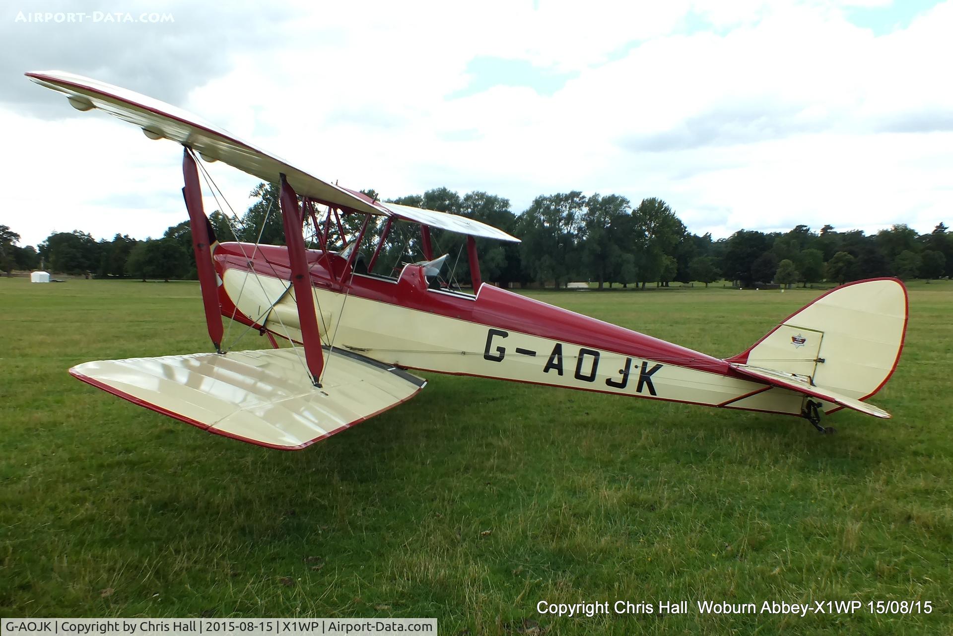 G-AOJK, 1939 De Havilland DH-82A Tiger Moth II C/N 82813, International Moth Rally at Woburn Abbey 15/08/15