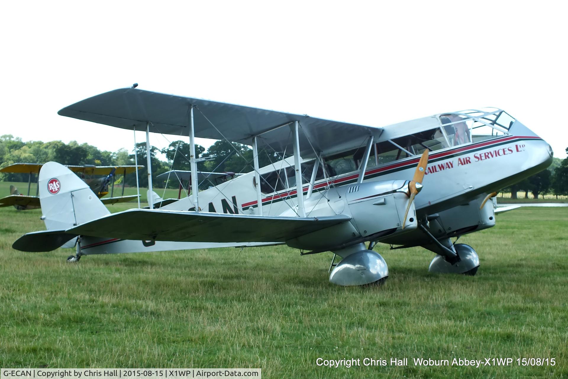 G-ECAN, 1943 De Havilland Australia DH-84 Dragon 3 C/N DHA2048, International Moth Rally at Woburn Abbey 15/08/15