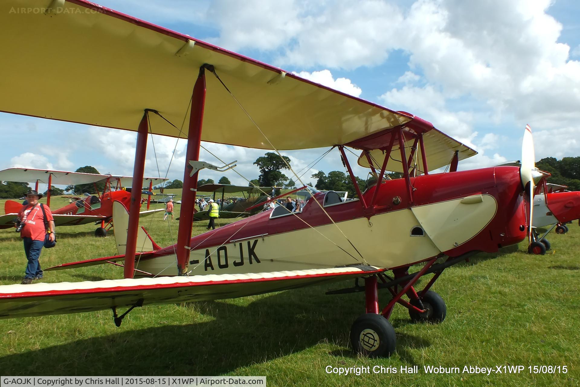 G-AOJK, 1939 De Havilland DH-82A Tiger Moth II C/N 82813, International Moth Rally at Woburn Abbey 15/08/15