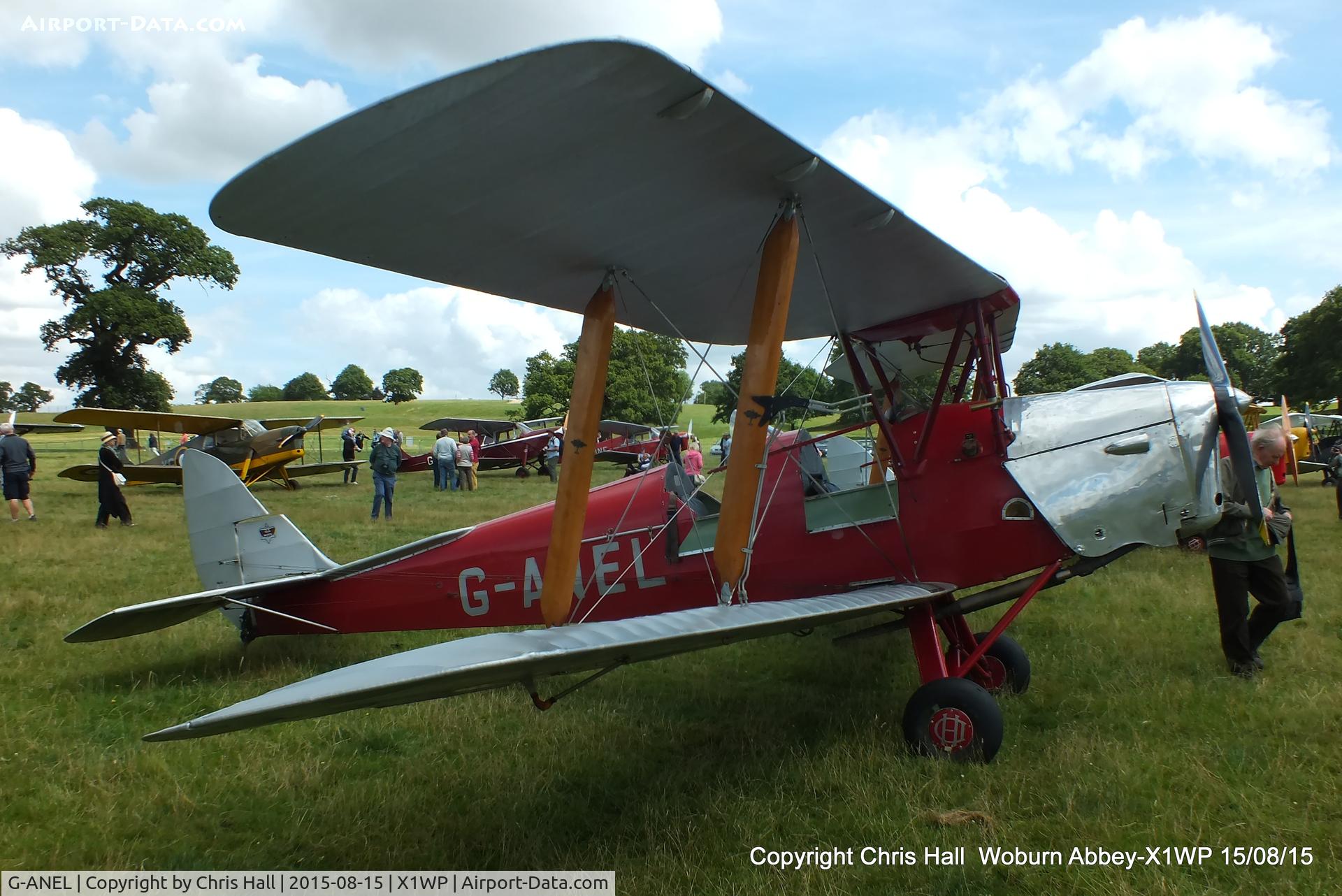 G-ANEL, 1939 De Havilland DH-82A Tiger Moth II C/N 82333, International Moth Rally at Woburn Abbey 15/08/15