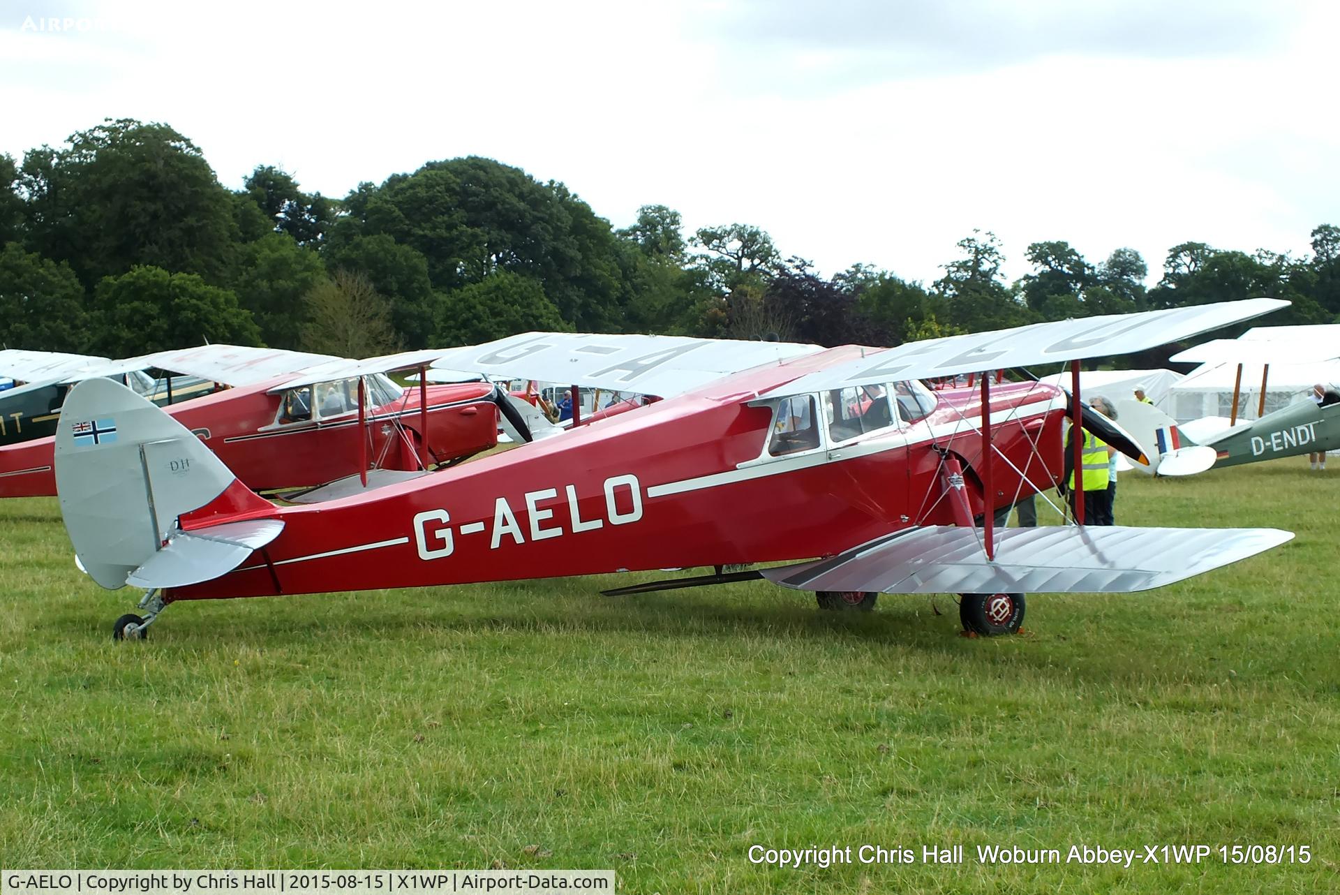 G-AELO, 1936 De Havilland DH.87B Hornet Moth C/N 8105, International Moth Rally at Woburn Abbey 15/08/15