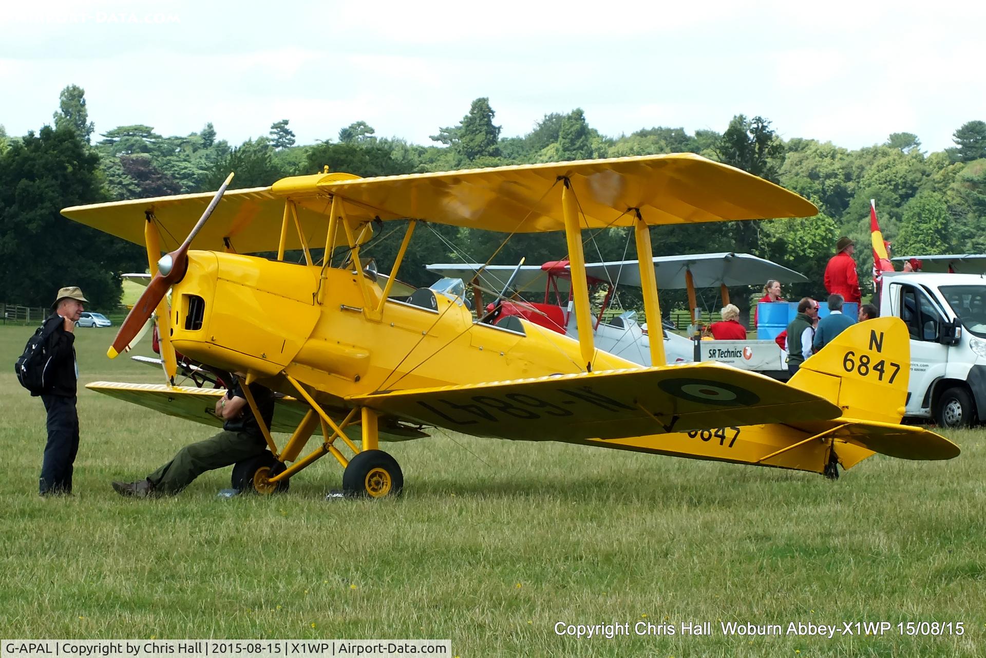 G-APAL, 1939 De Havilland DH-82A Tiger Moth II C/N 82102, International Moth Rally at Woburn Abbey 15/08/15