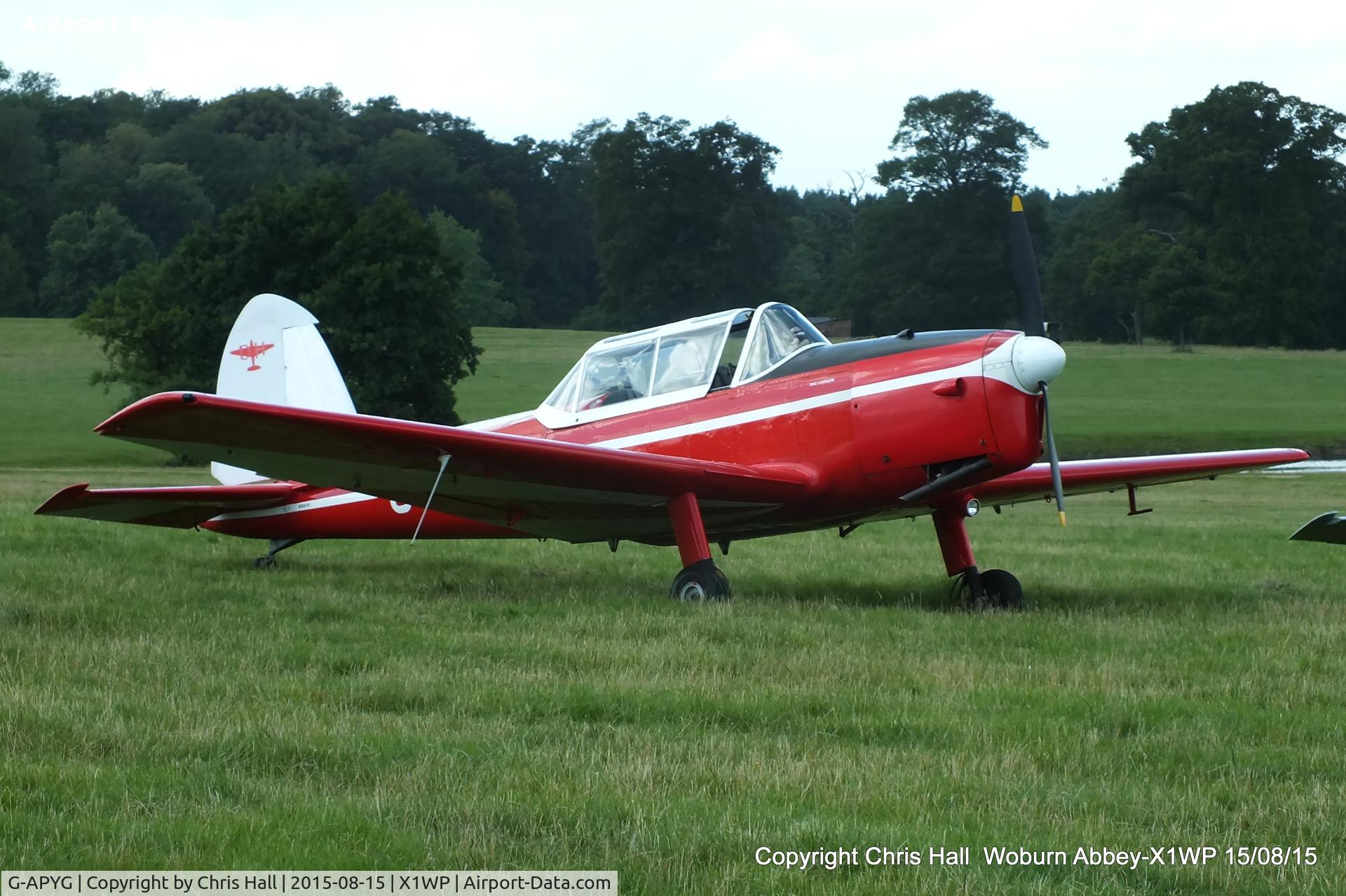 G-APYG, 1950 De Havilland DHC-1 Chipmunk T.10 C/N C1/0060, International Moth Rally at Woburn Abbey 15/08/15
