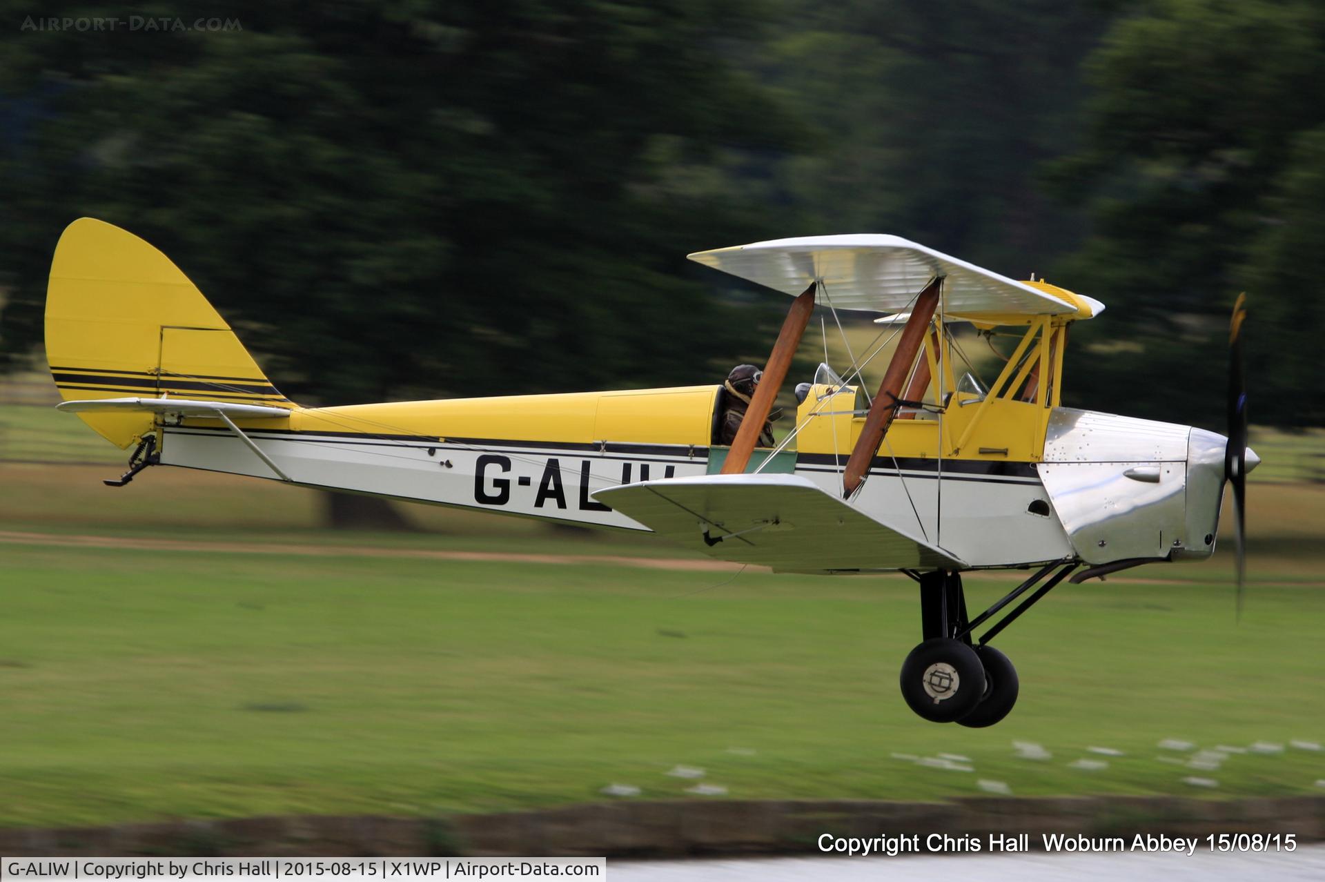 G-ALIW, 1938 De Havilland DH-82A Tiger Moth II C/N 82901, International Moth Rally at Woburn Abbey 15/08/15