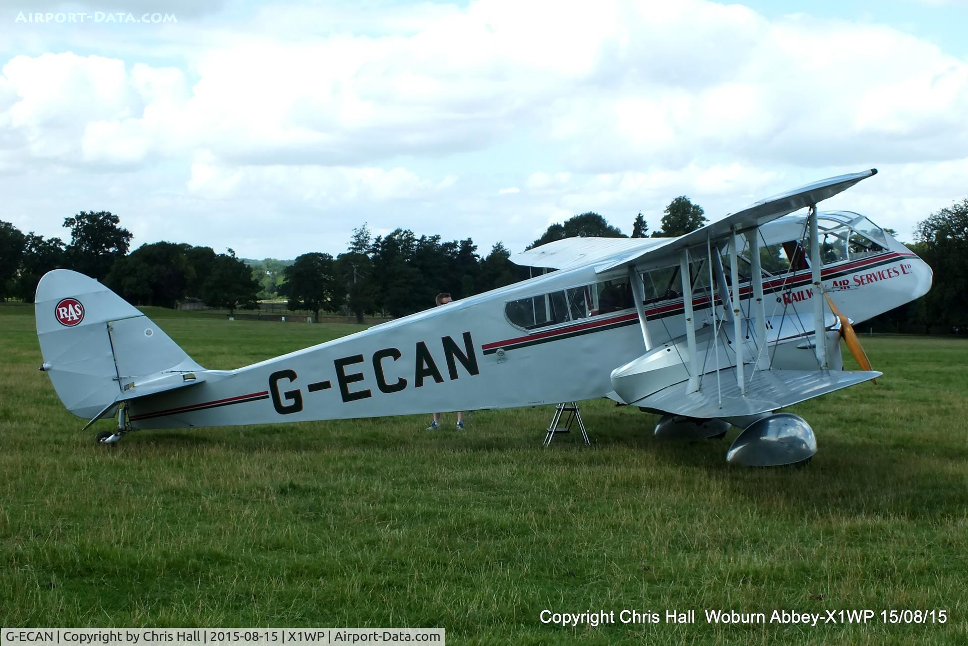 G-ECAN, 1943 De Havilland Australia DH-84 Dragon 3 C/N DHA2048, International Moth Rally at Woburn Abbey 15/08/15