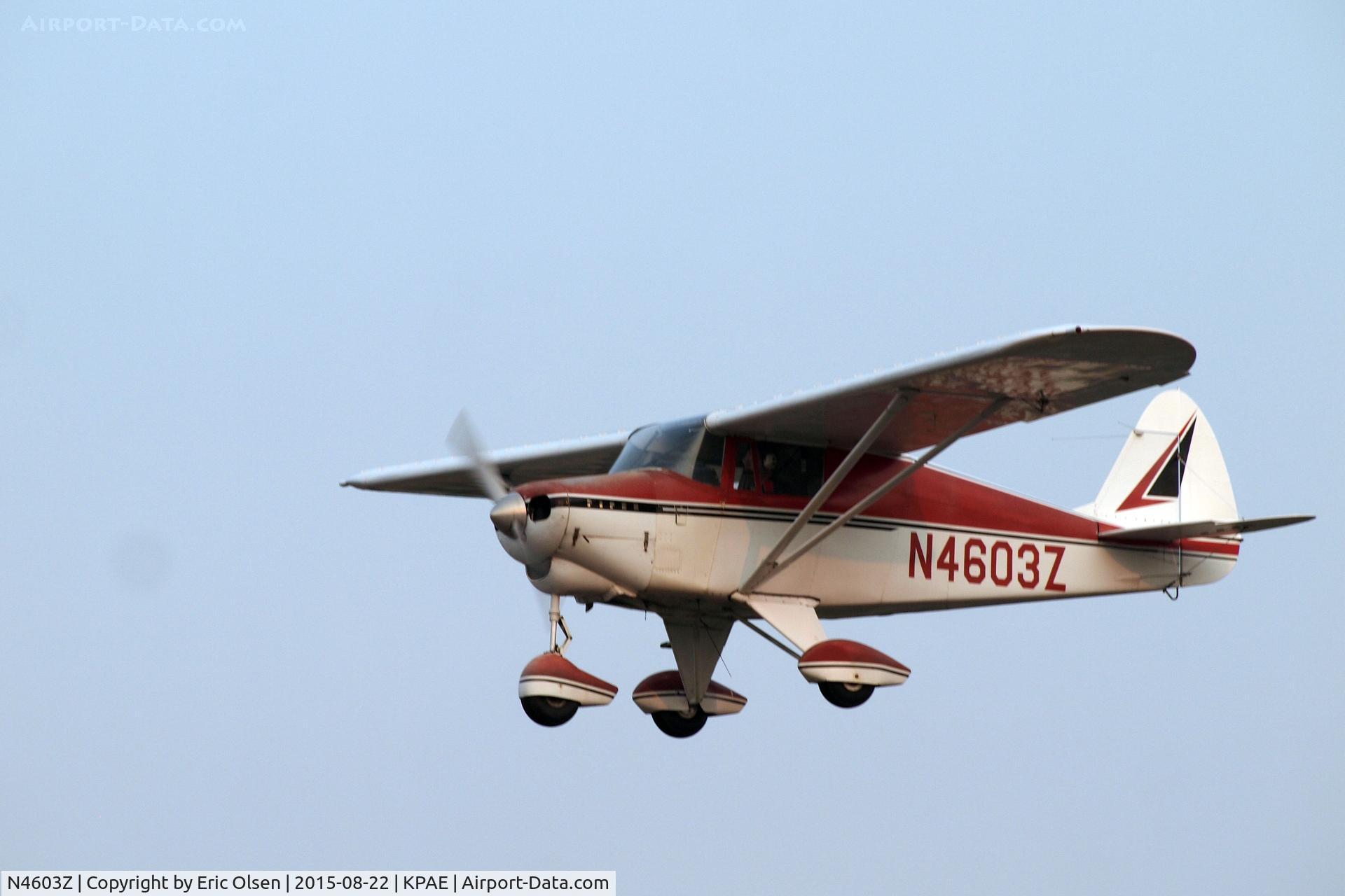 N4603Z, 1961 Piper PA-22-108 Colt C/N 22-8117, 1961 Piper doing touch and go's on 34R at Paine Field.