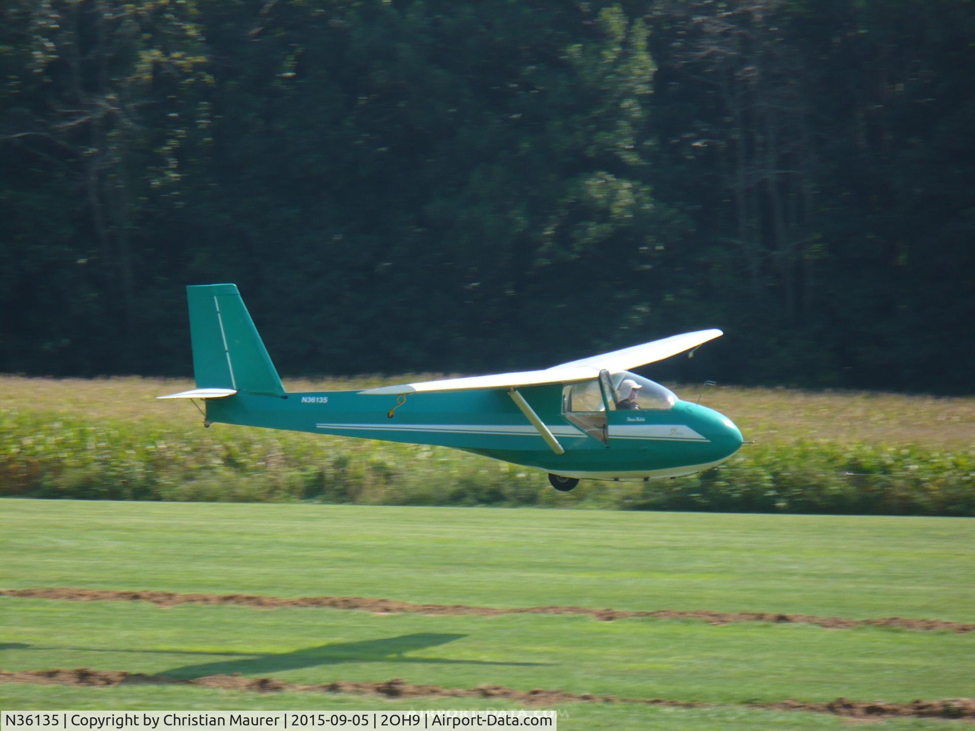 N36135, 1981 Schweizer SGS 2-33A C/N 564, SGS 2-33A On Final
