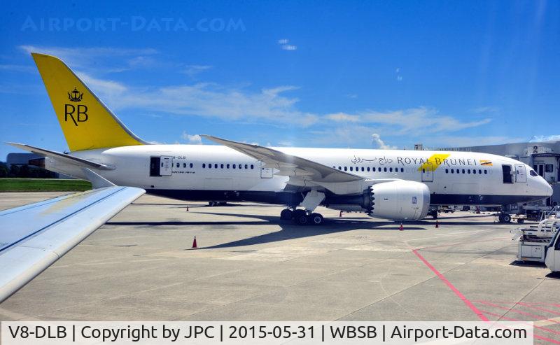 V8-DLB, 2013 Boeing 787-8 Dreamliner C/N 34786, Next to our gate...
