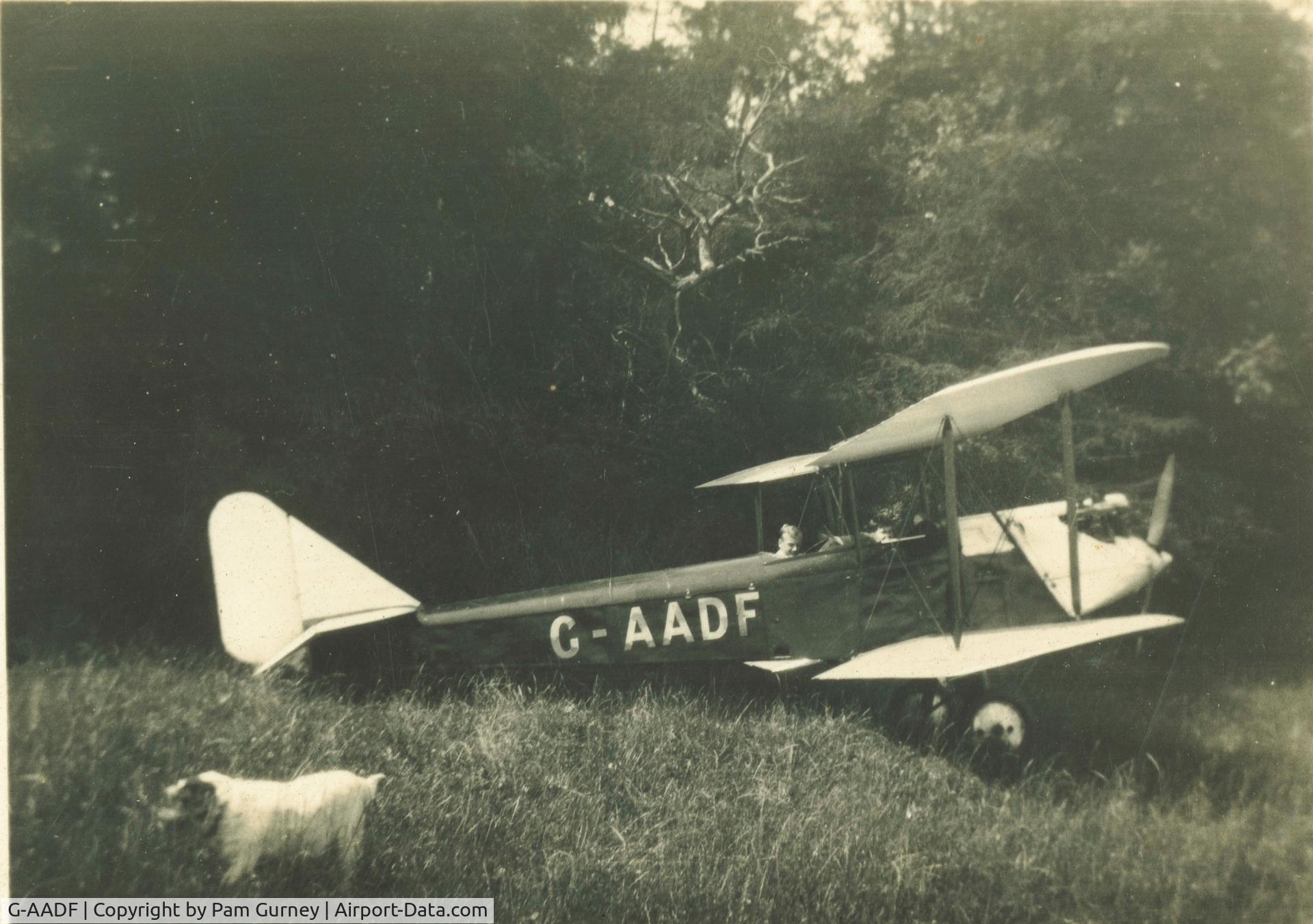 G-AADF, Avro 594 Avian IV C/N 204, 1928  Pilot:  J.J. Gurney
In the park at Northrepps Hall NR27 0JW Norfolk England