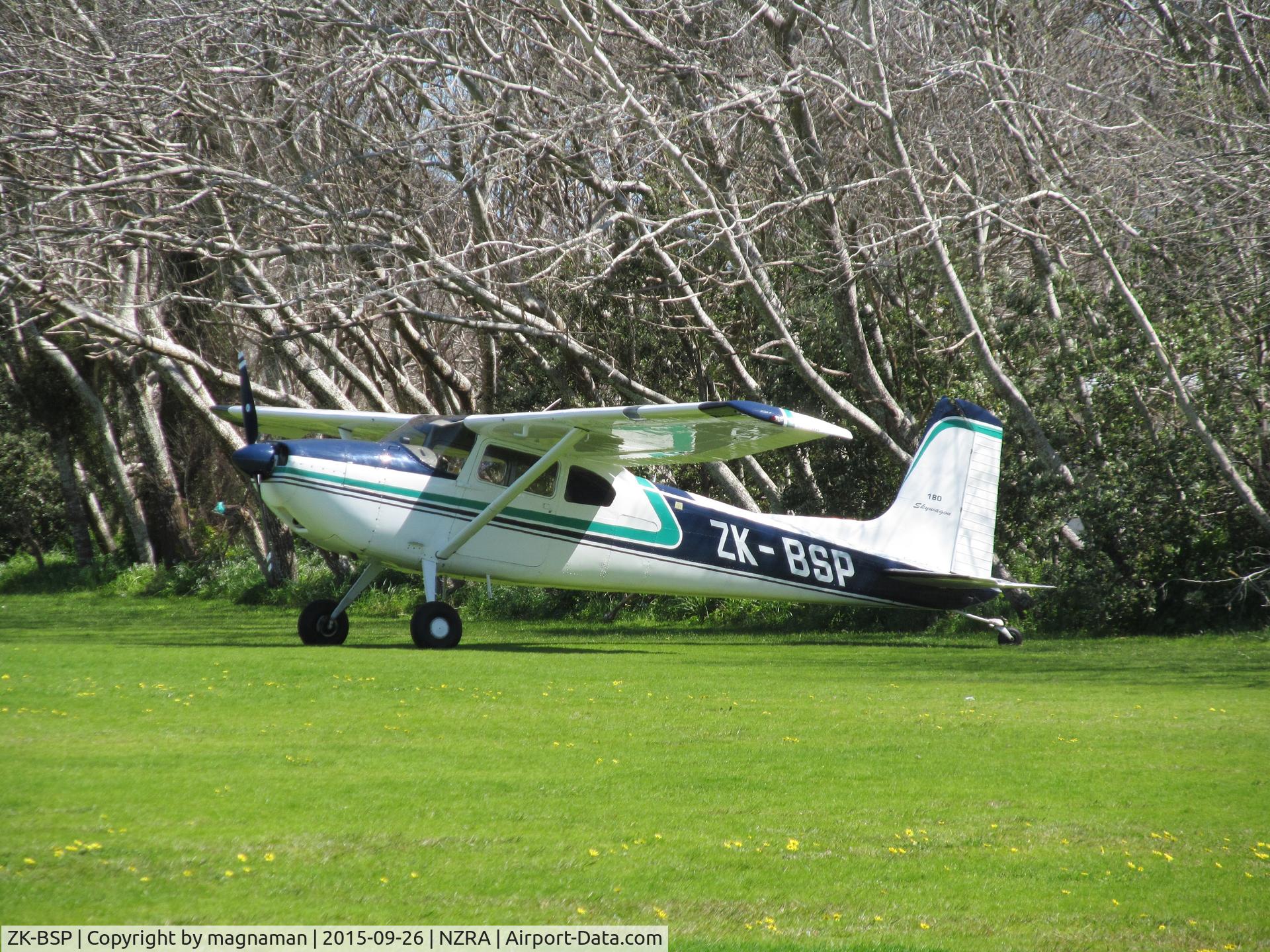 ZK-BSP, Cessna 180 C/N 31263, in shade of trees at edge of grass strip at Raglan. Bizarre that public can walk dogs on the runway!!!