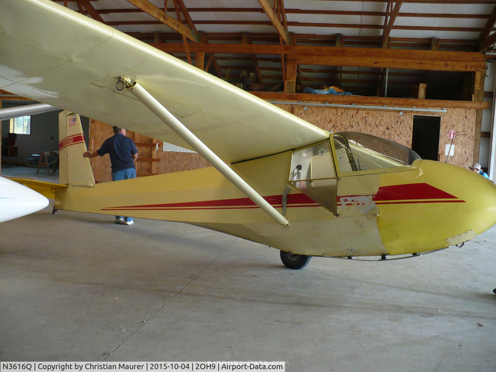 N3616Q, 1981 Schweizer SGS 2-33A C/N 567, 2-33A