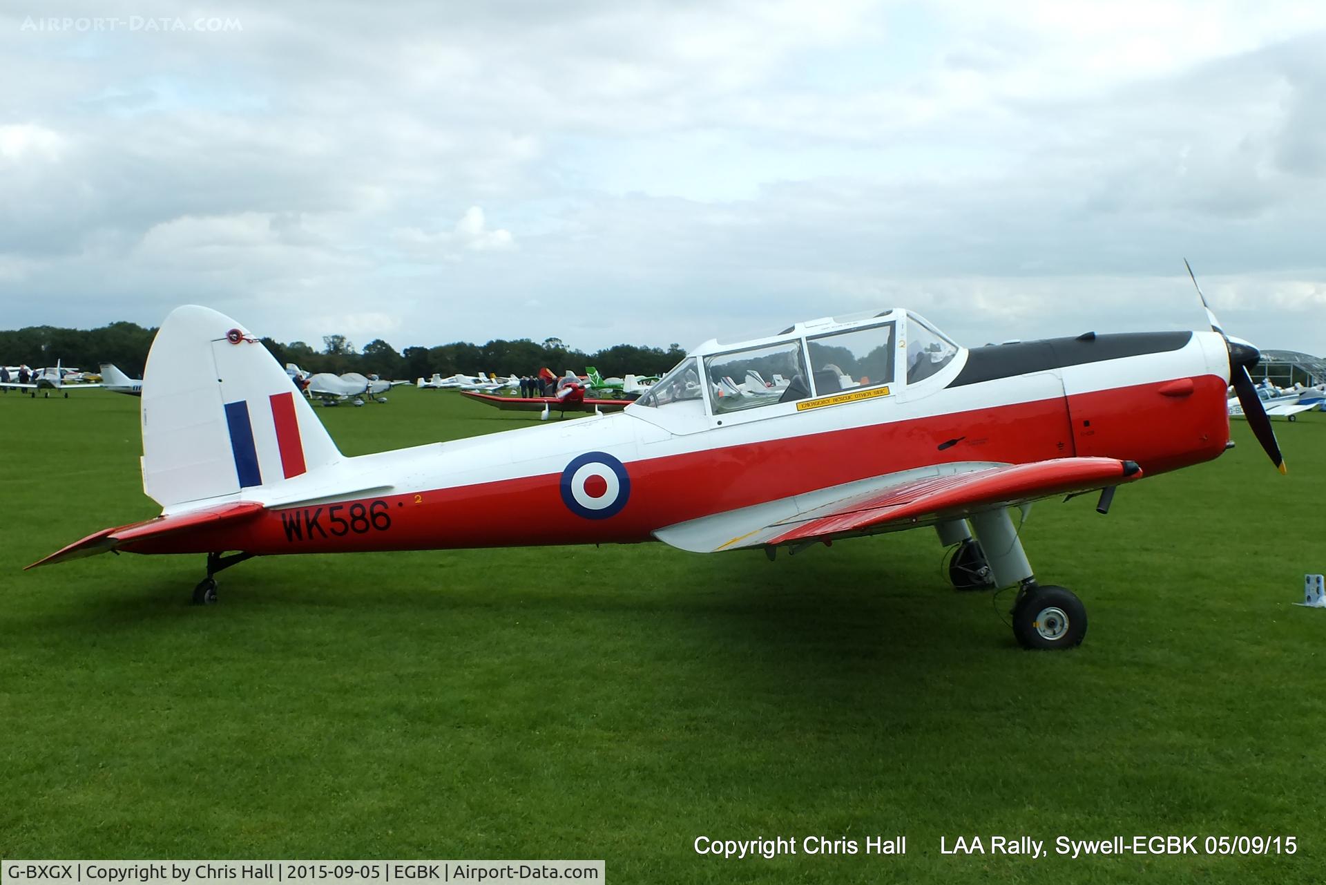 G-BXGX, 1952 De Havilland DHC-1 Chipmunk T.10 C/N C1/0609, at the LAA Rally 2015, Sywell