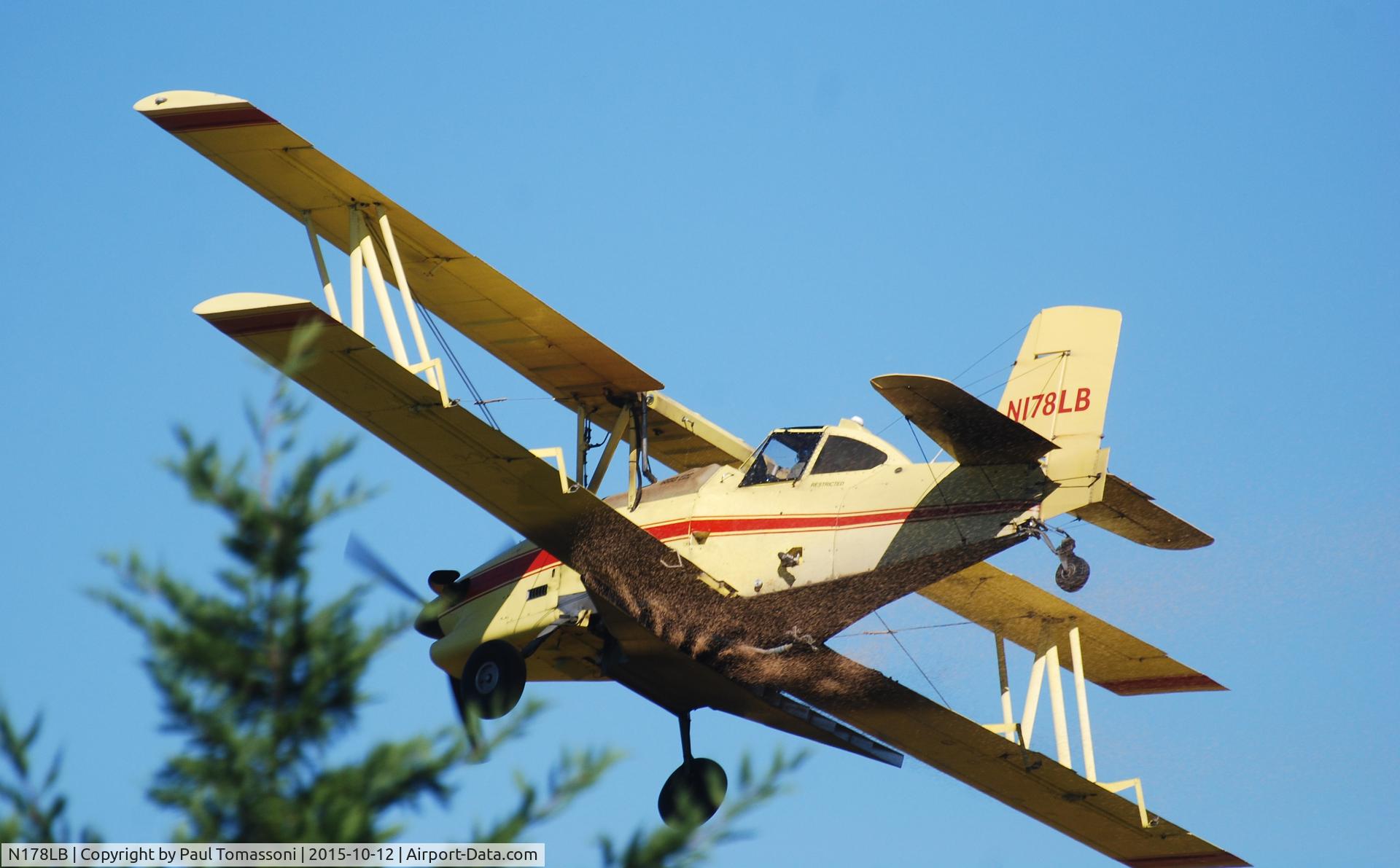 N178LB, 1977 Grumman-Schweizer G-164B C/N 178B, Dusting in Centreville, MD