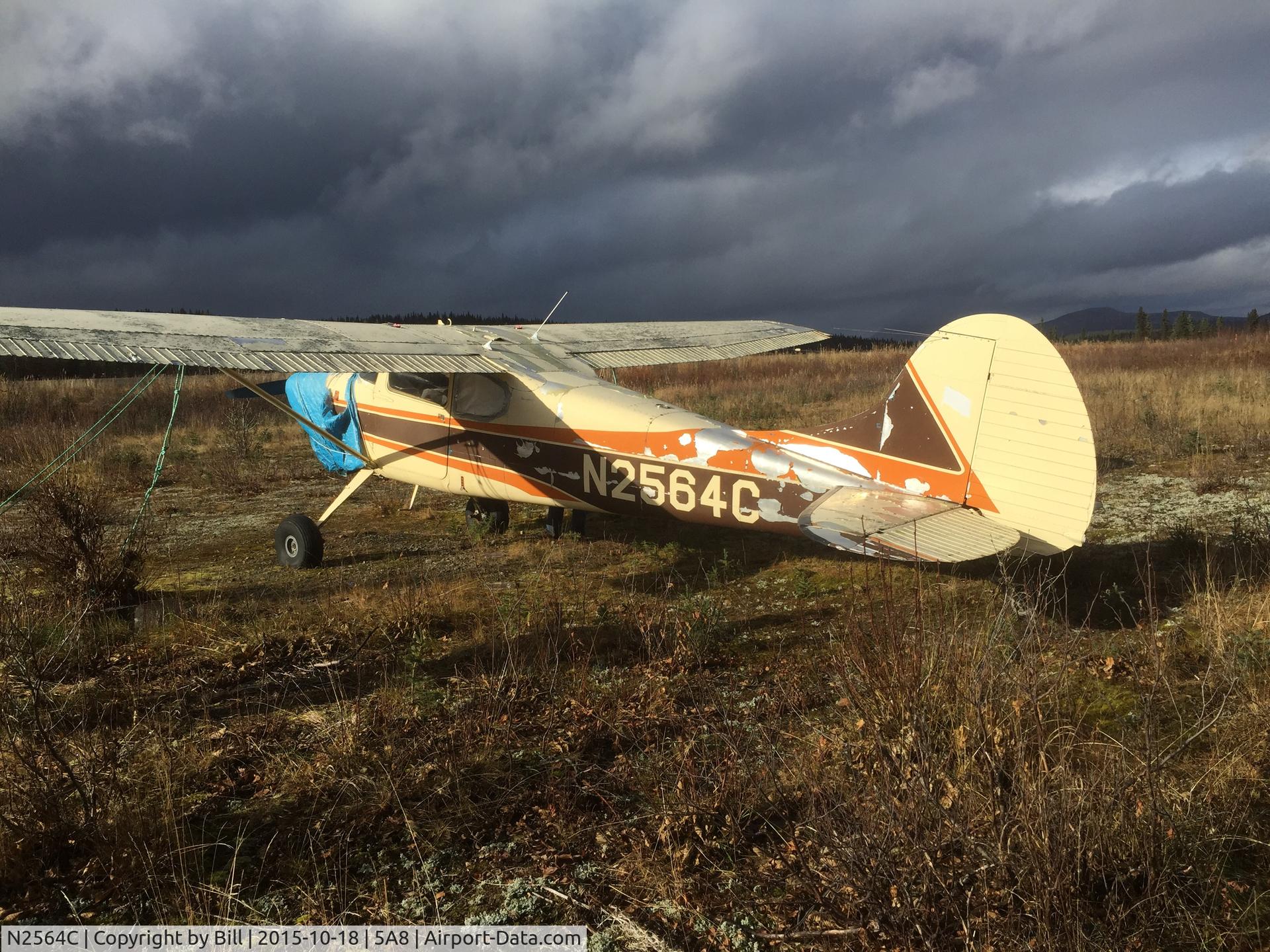 N2564C, 1954 Cessna 170B C/N 26208, Found off Aleknagik airport.