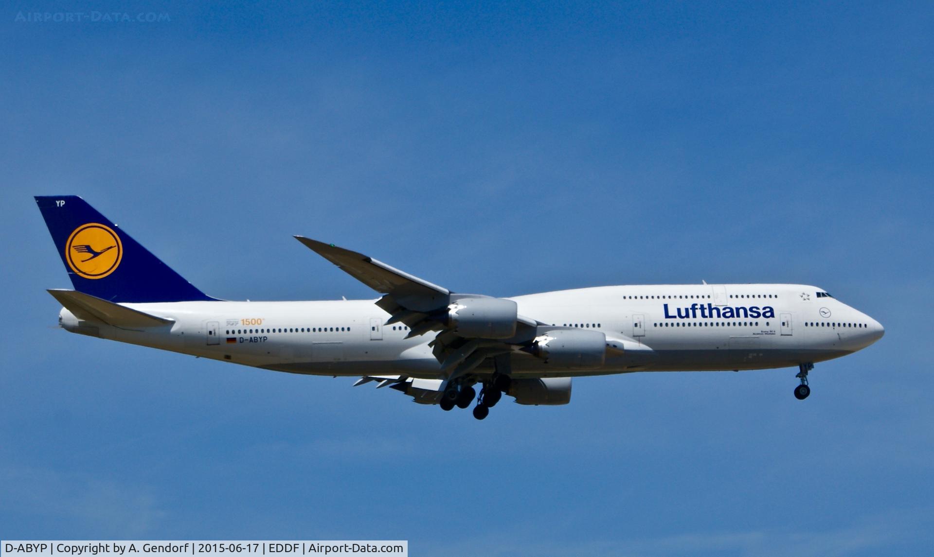 D-ABYP, 2014 Boeing 747-830 C/N 37839, Lufthansa (1500th B747 sticker), is here on short final for its homebase, Frankfurt Rhein/Main(EDDF)