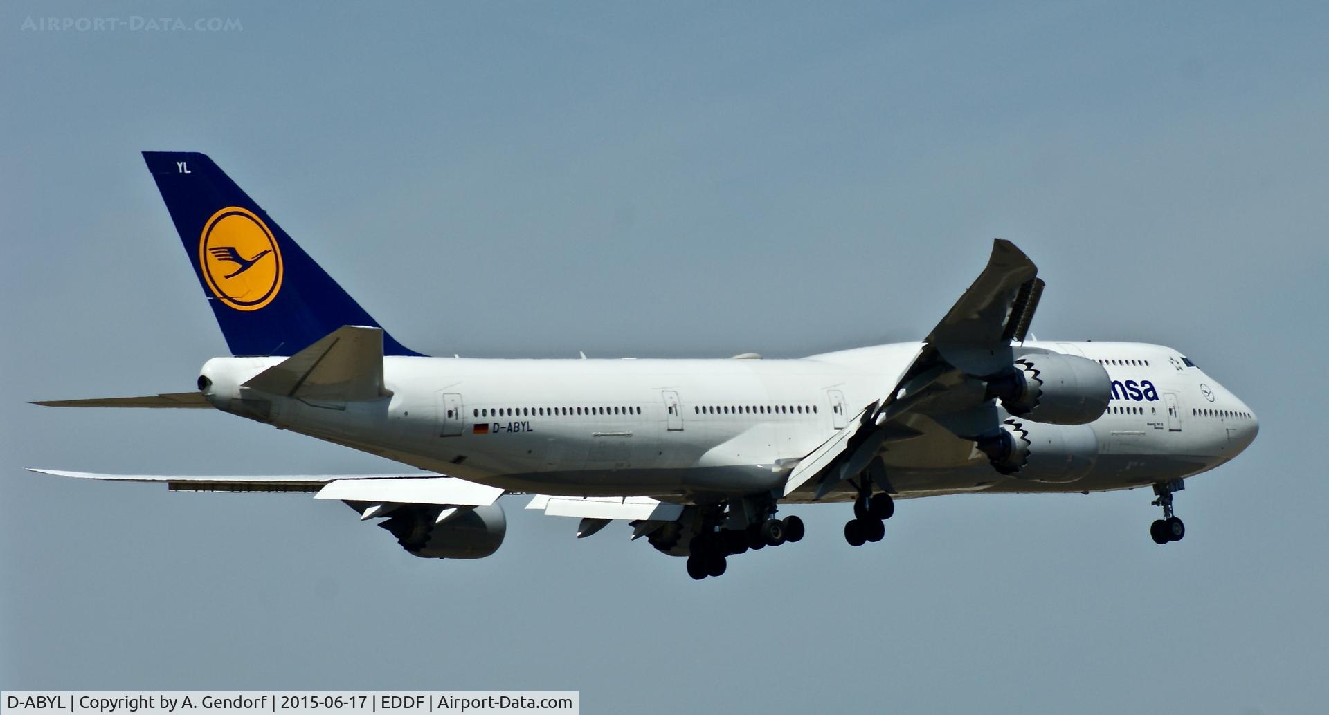 D-ABYL, 2014 Boeing 747-830 C/N 37836, Lufthansa, is here landing at Frankfurt Rhein/Main