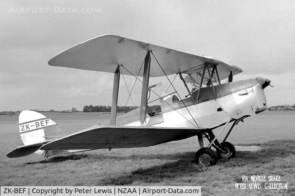 ZK-BEF, De Havilland DH-82A Tiger Moth II C/N 83323, H Allen Mills Ltd., Rotorua  1954