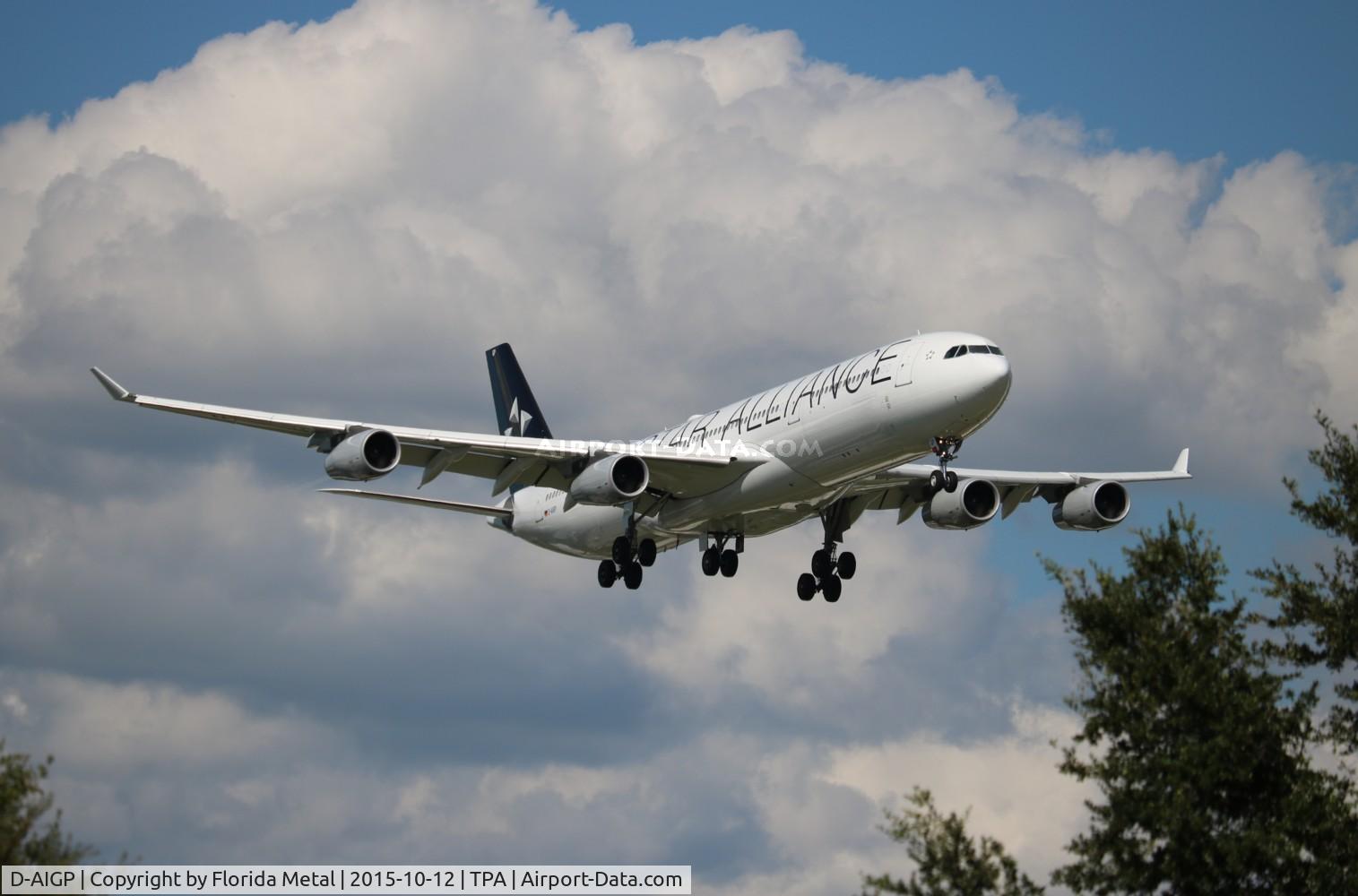 D-AIGP, 1998 Airbus A340-313X C/N 252, Lufthansa Star Alliance